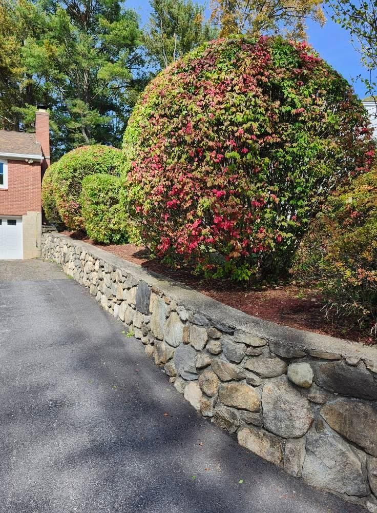  for Landscape Innovations LLC in Torrington, CT