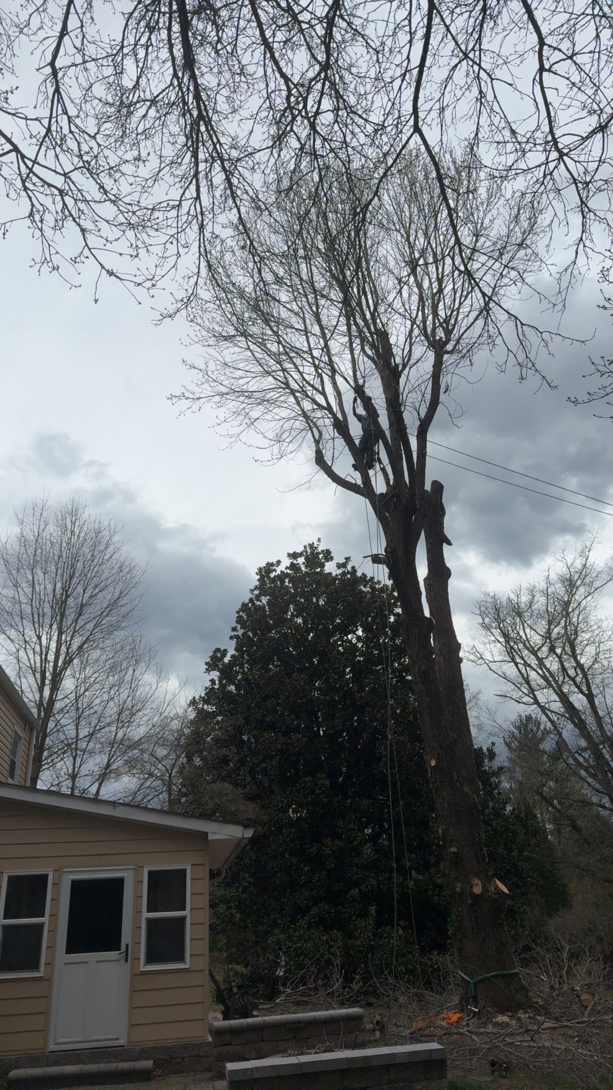 All Photos for VA Landgrowth LLC in Lexington, VA