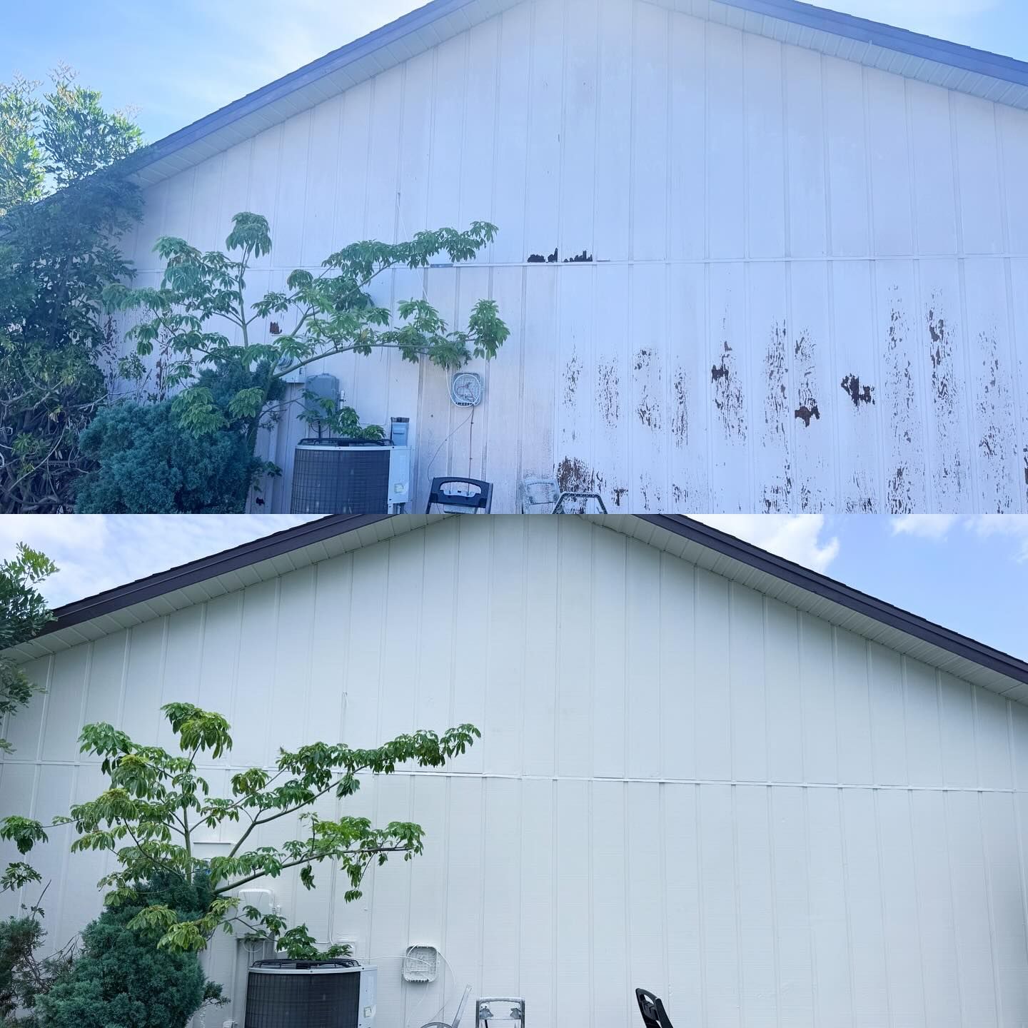 All Photos for Pardon My Painting in St. Petersburg, FL