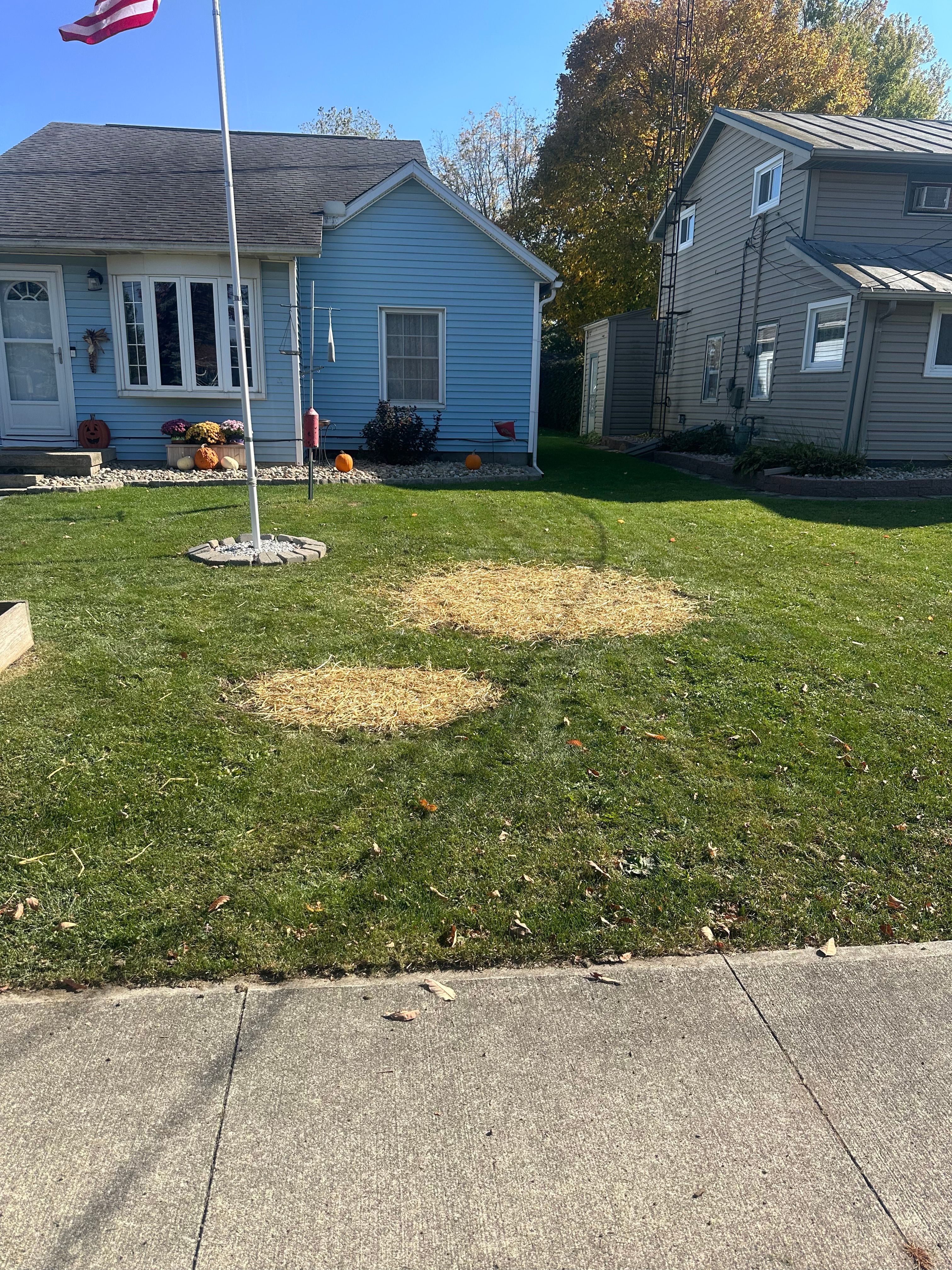  for OT Lawn and Landscaping LLC in Carey, OH