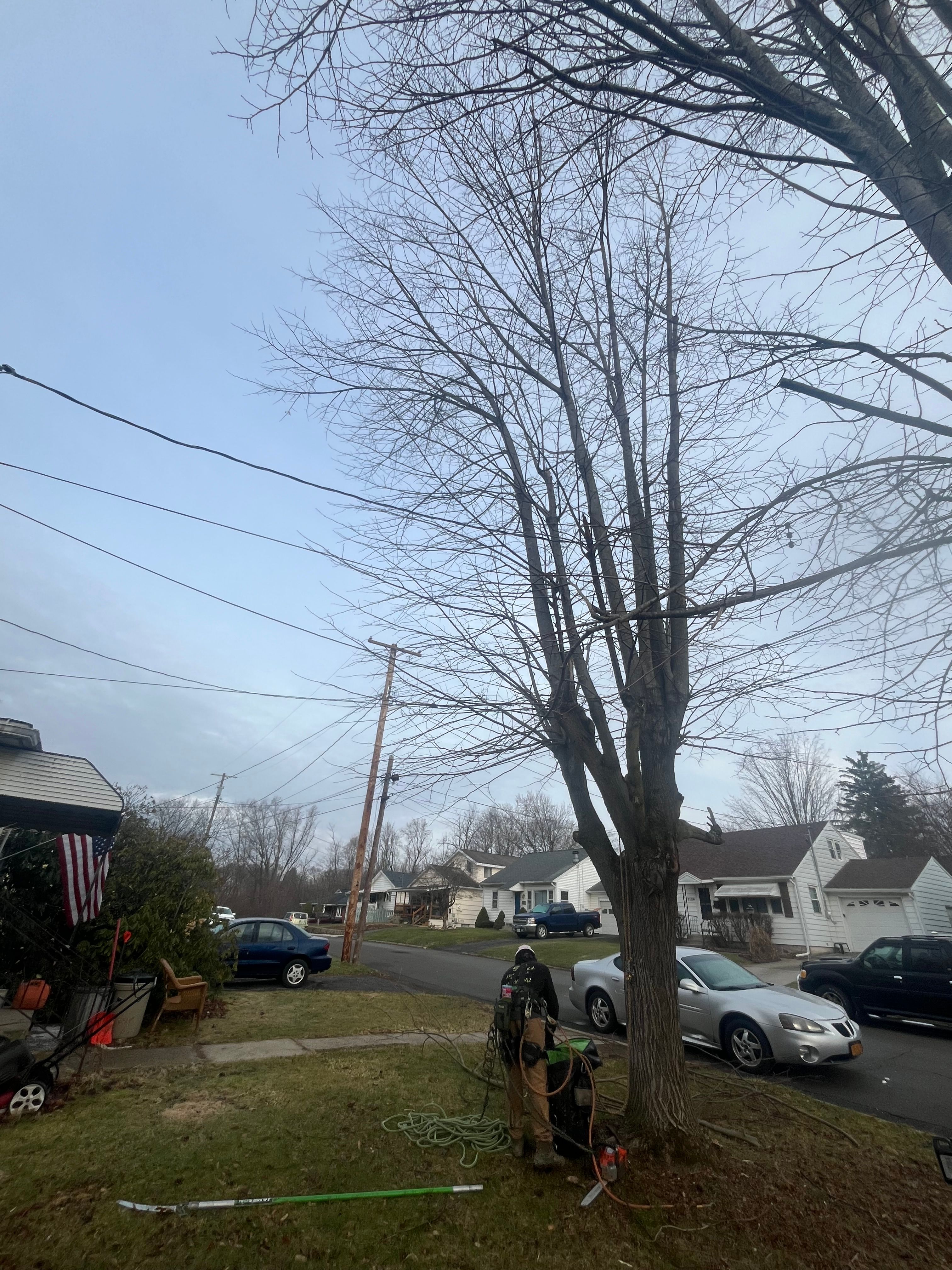 All Photos for Licensed to Cut Tree Service in Athens, PA