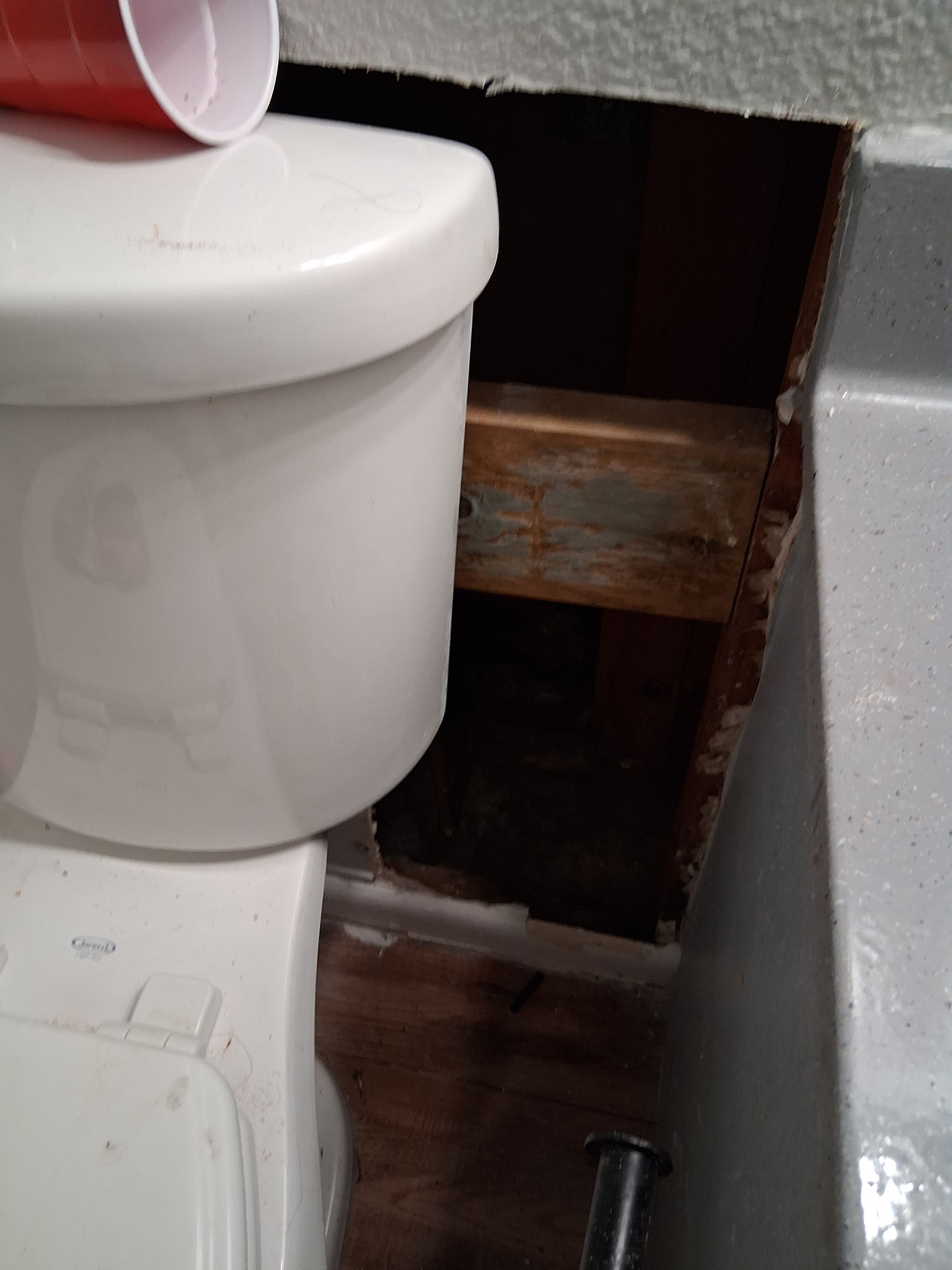  for Raw Paintings, Sheetrock Repairs and Cleaning in Columbia, SC