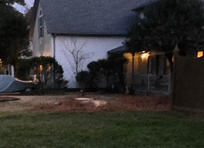  for Beach Tree Care in Virginia Beach, VA