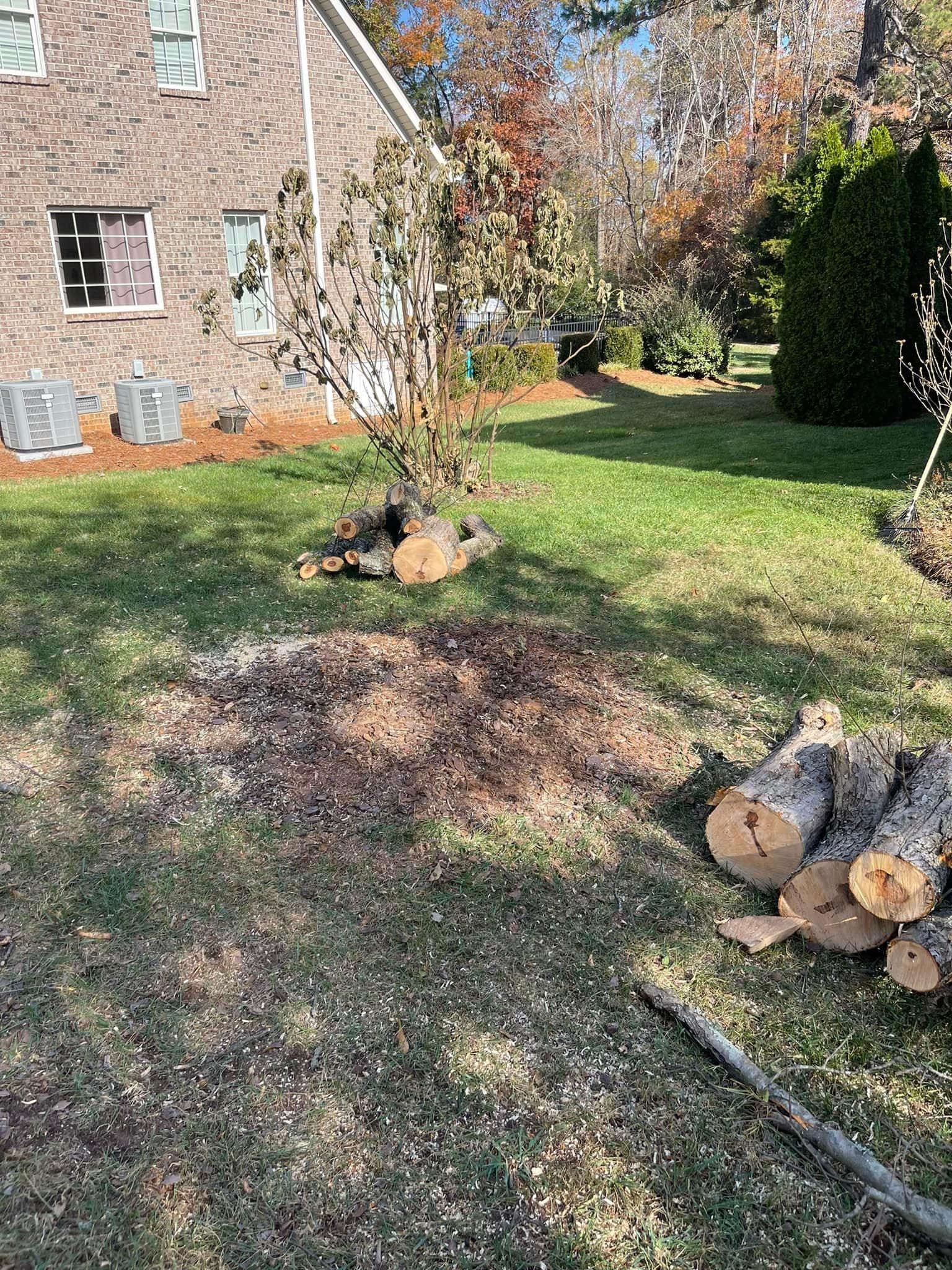  for Stem Tree Service in Belmont, NC