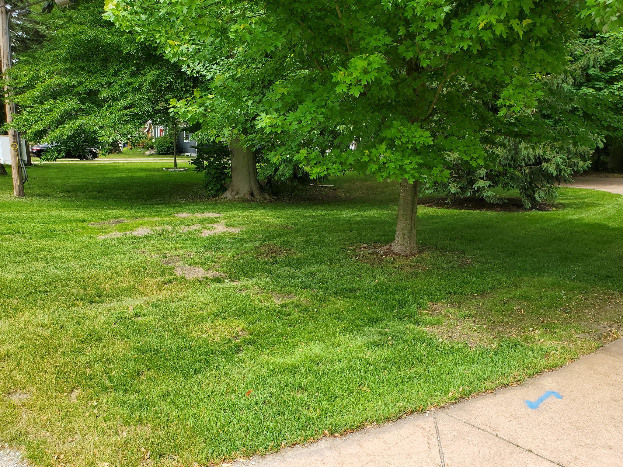 Landscaping for Fred's Lawncare in Muskegon, MI