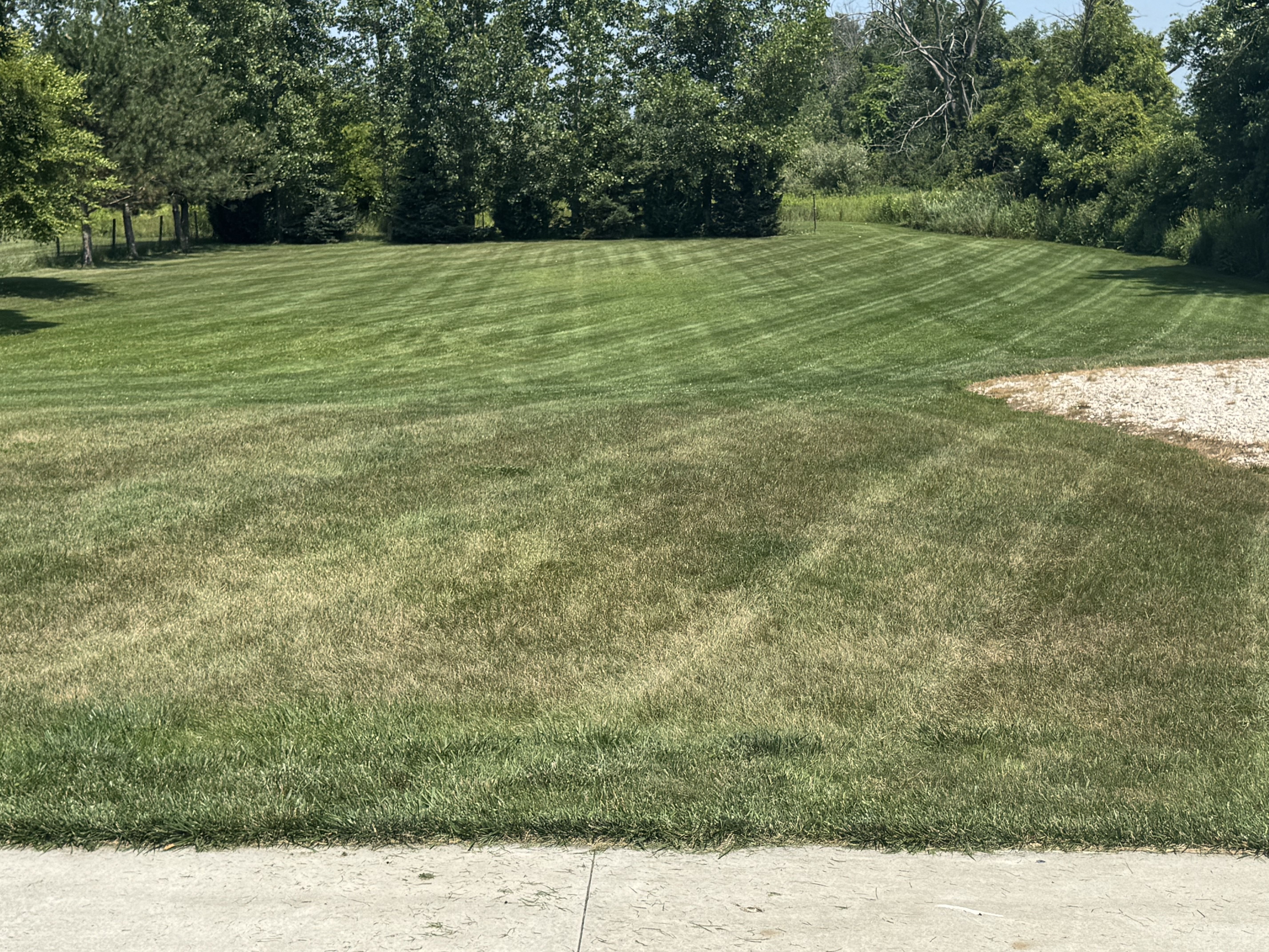  for Daugherty's Tough Lawn Care in Essexville, MI