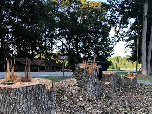  for Falcon stump grinding Tree services in Loganville, GA