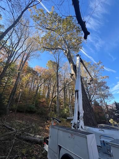  for Ground To Sky Tree Care in Asheville, North Carolina