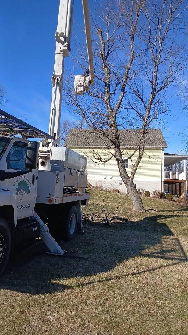 All Photos for Gray's Tree Service  in Shenandoah County, VA