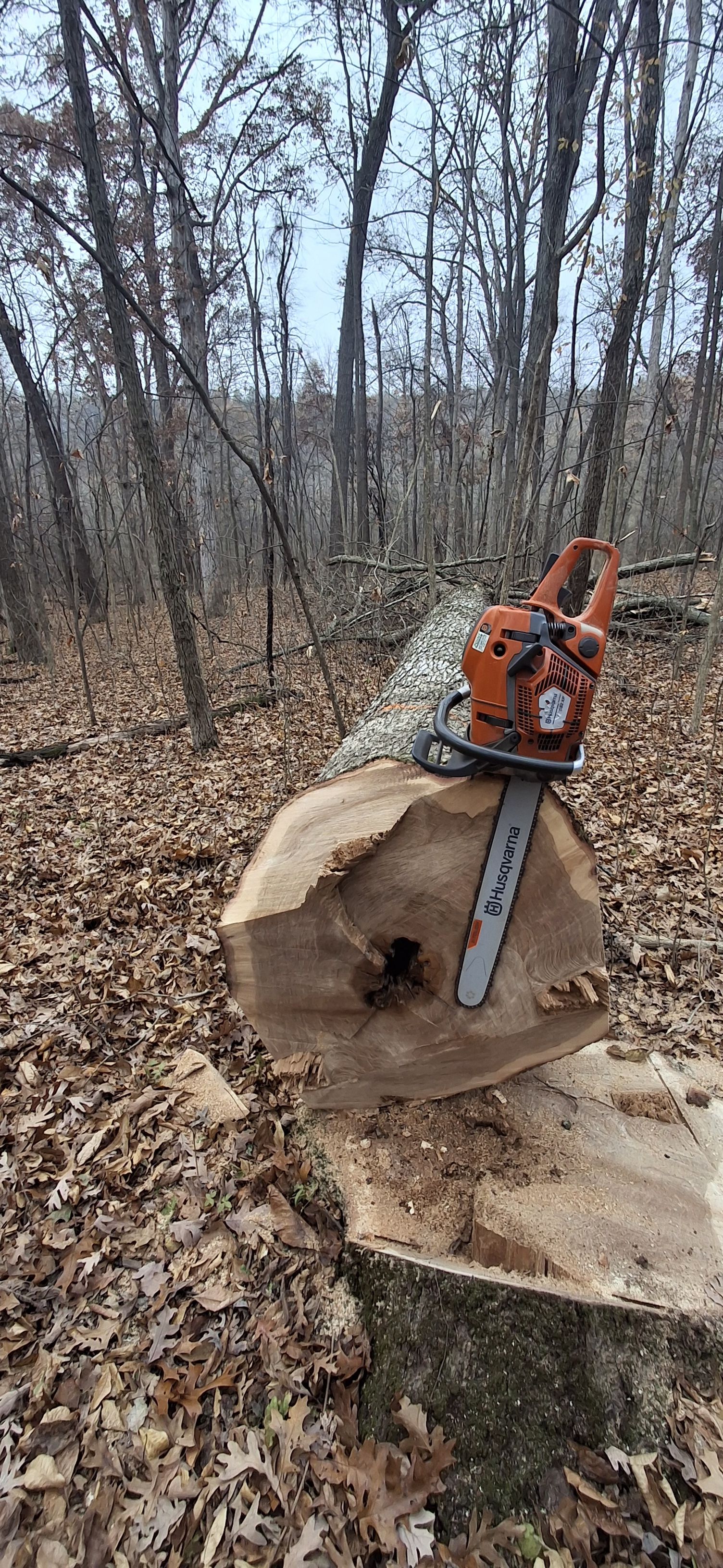  for God's Country Timber Management in Hillsdale, MI