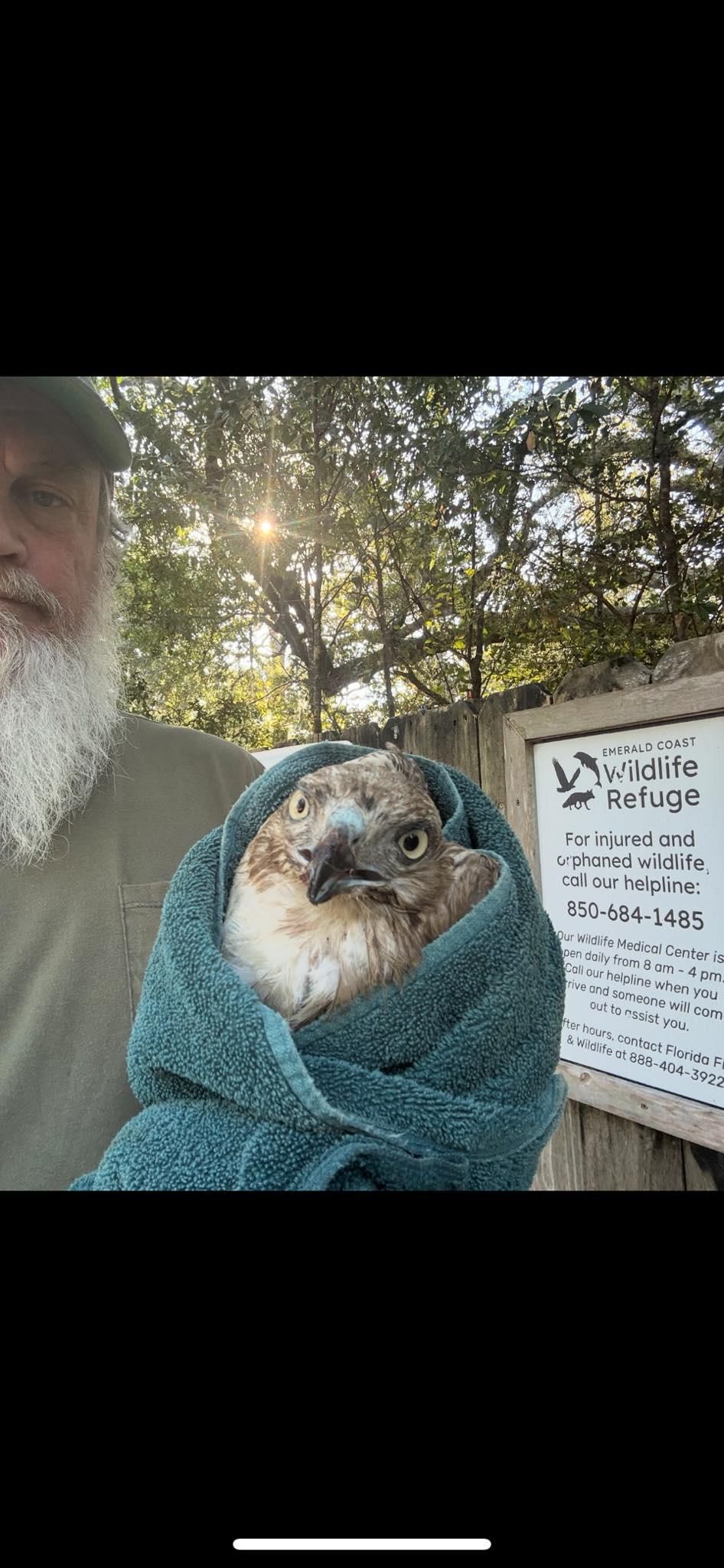  for Dirt Worx in Navarre, FL