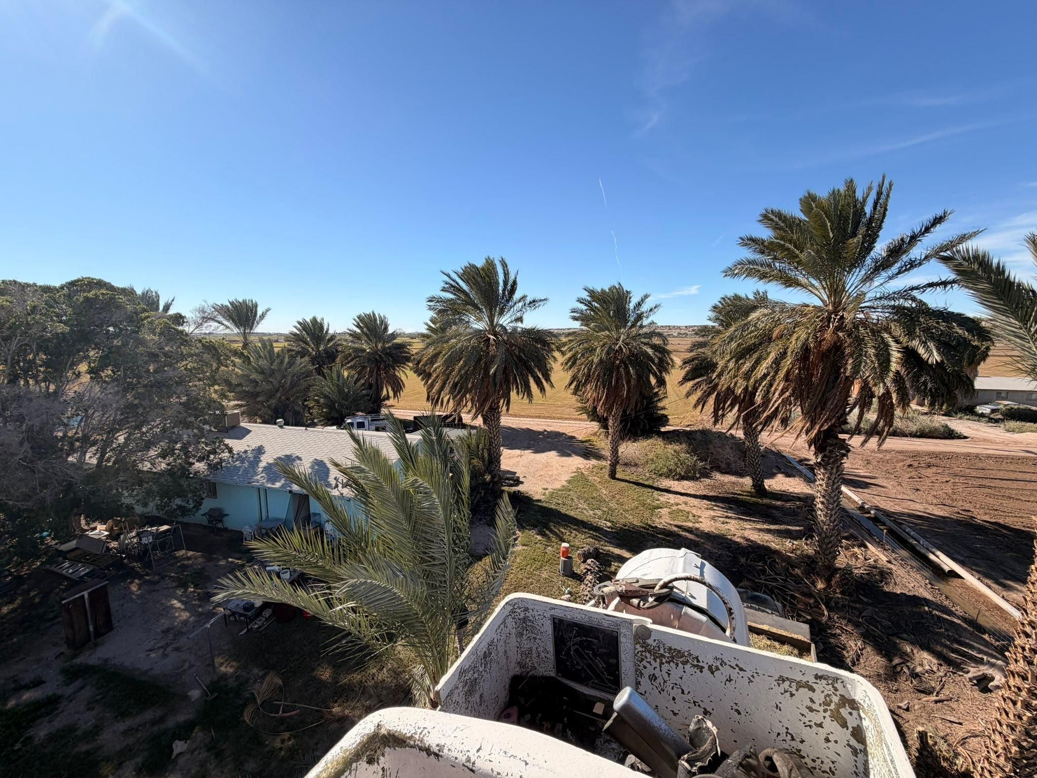  for Yuma Palms & Tree Service in Yuma, AZ