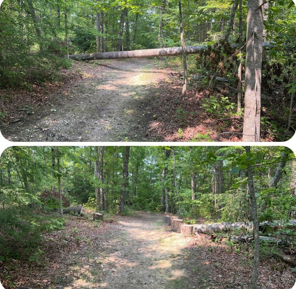  for McBee’s Tree Service in Sewanee, TN