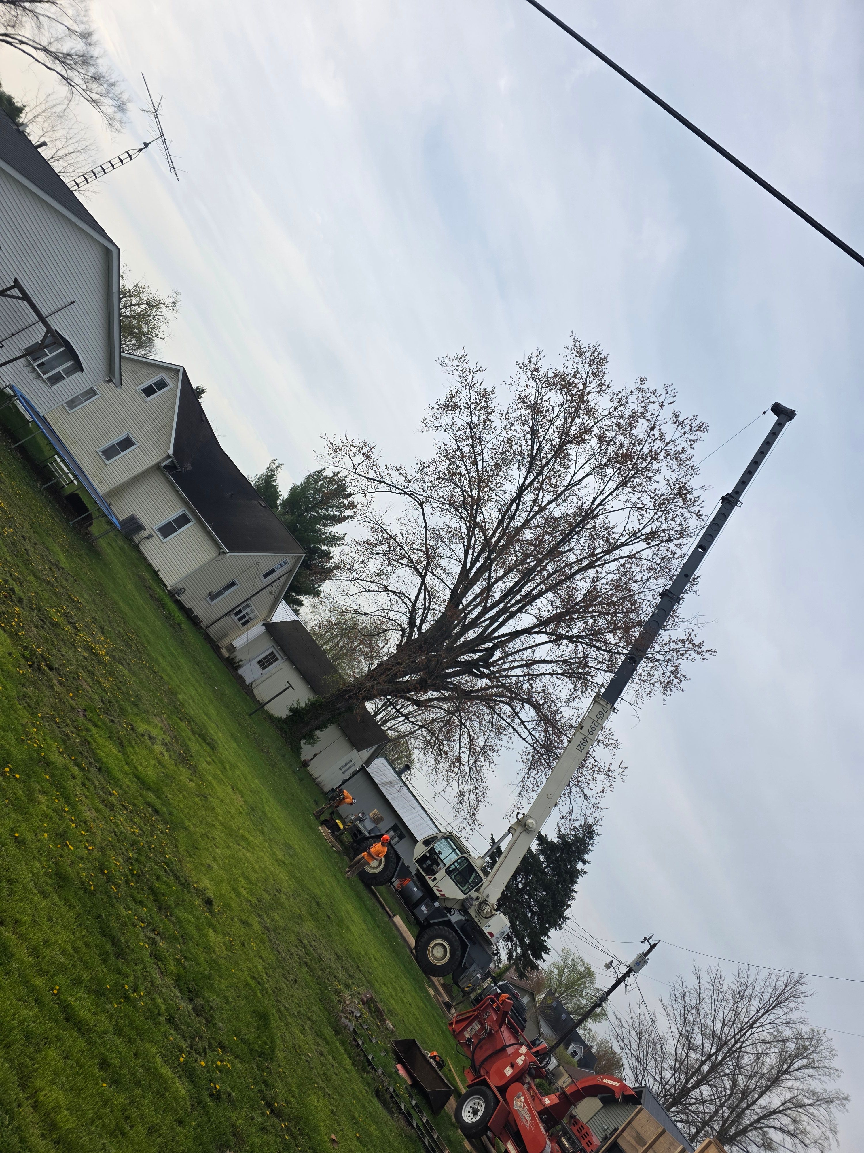  for Advanced Tree Solutions in Rockville, IN