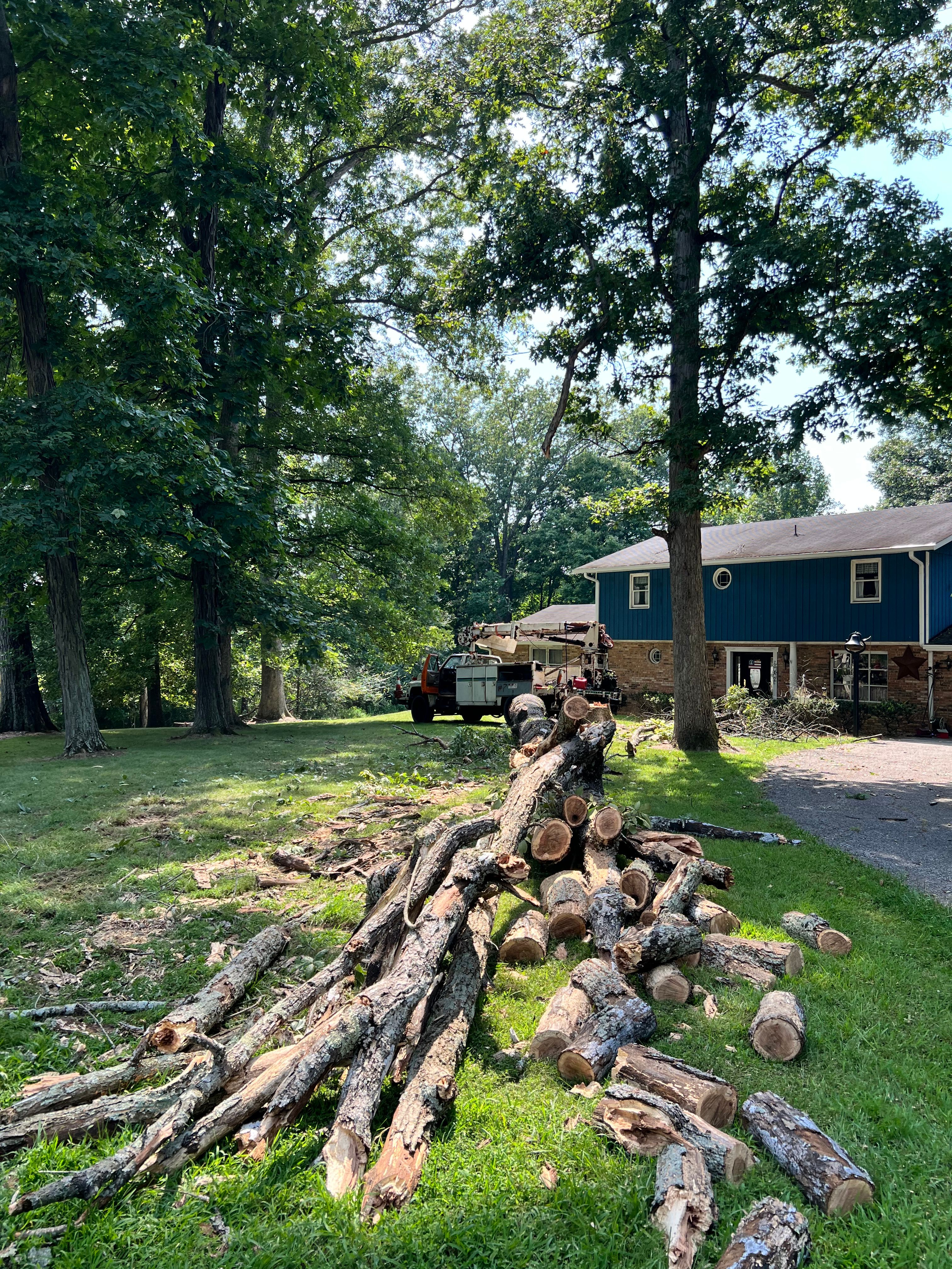 All Photos for Kadin’s Tree Service in North Vernon, IN