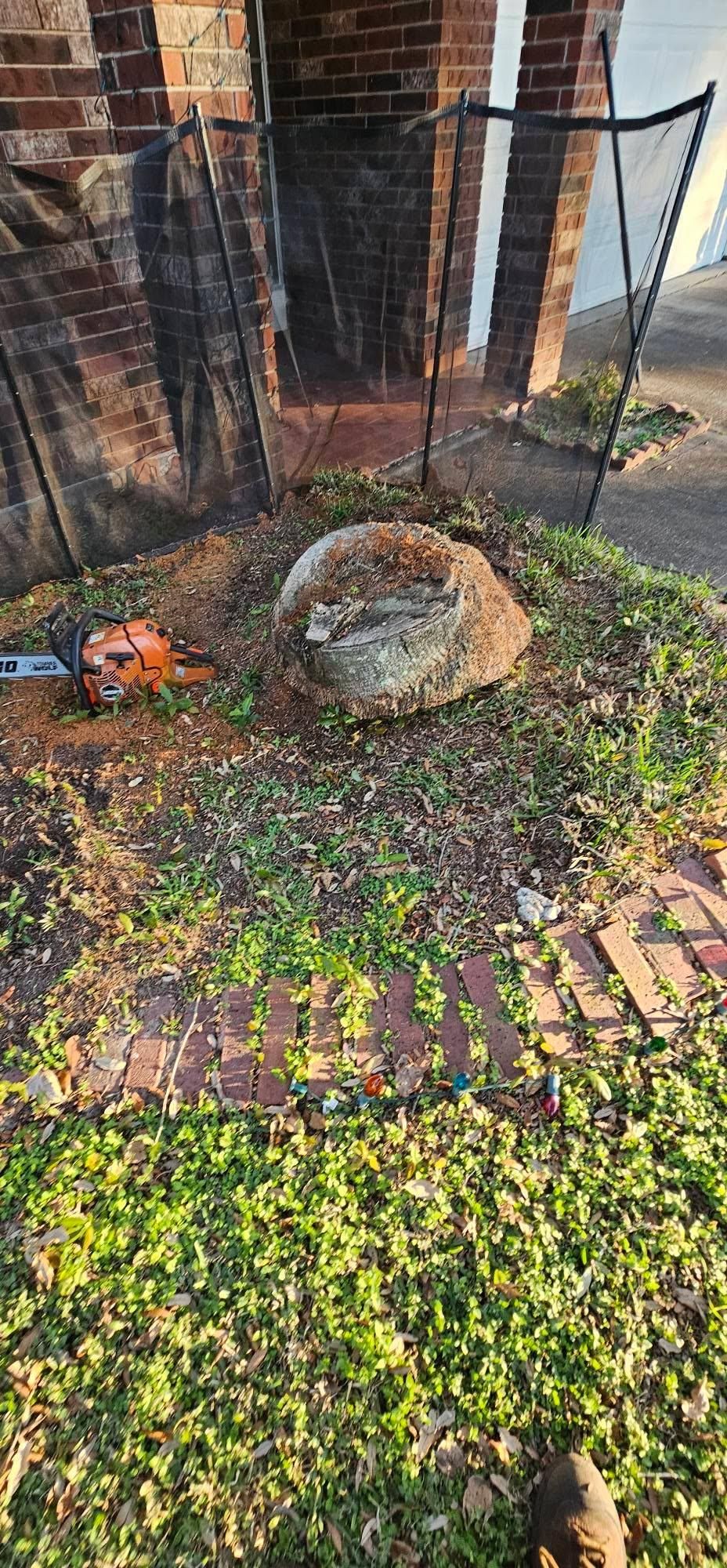  for Servin's Tree Care  in Houston, TX