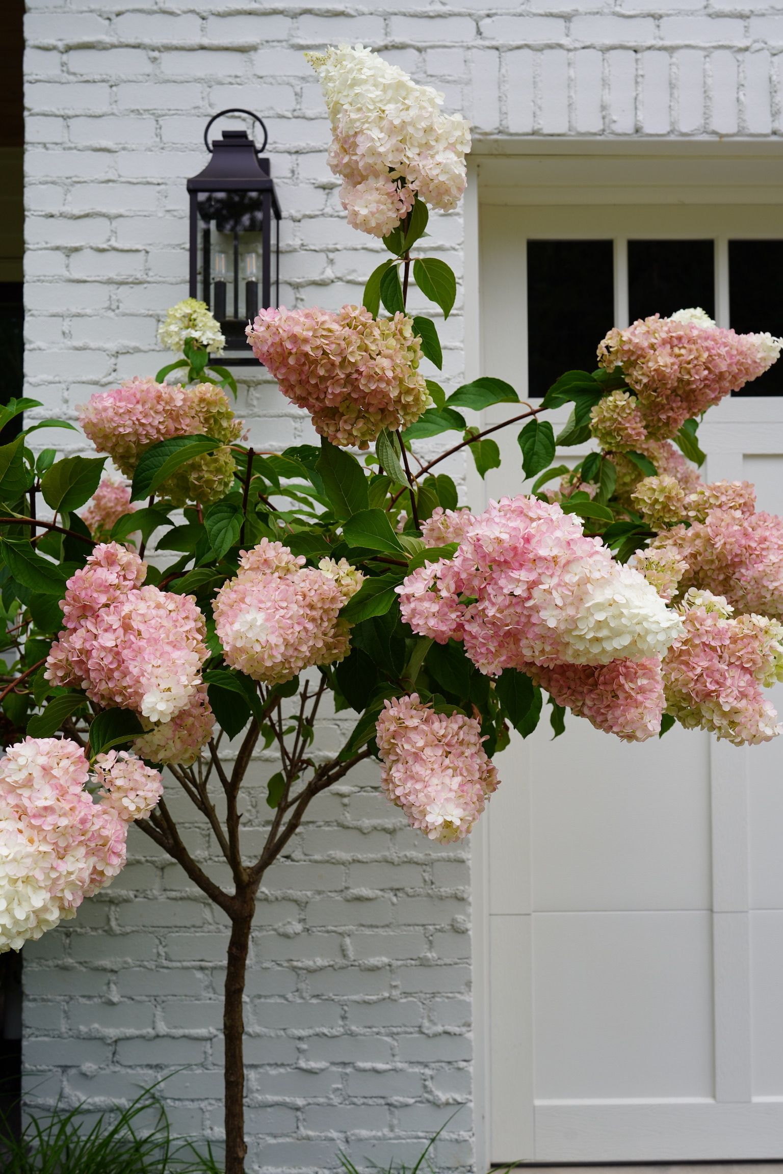  for Courtney Lewis Landscape Design in Portland, OR