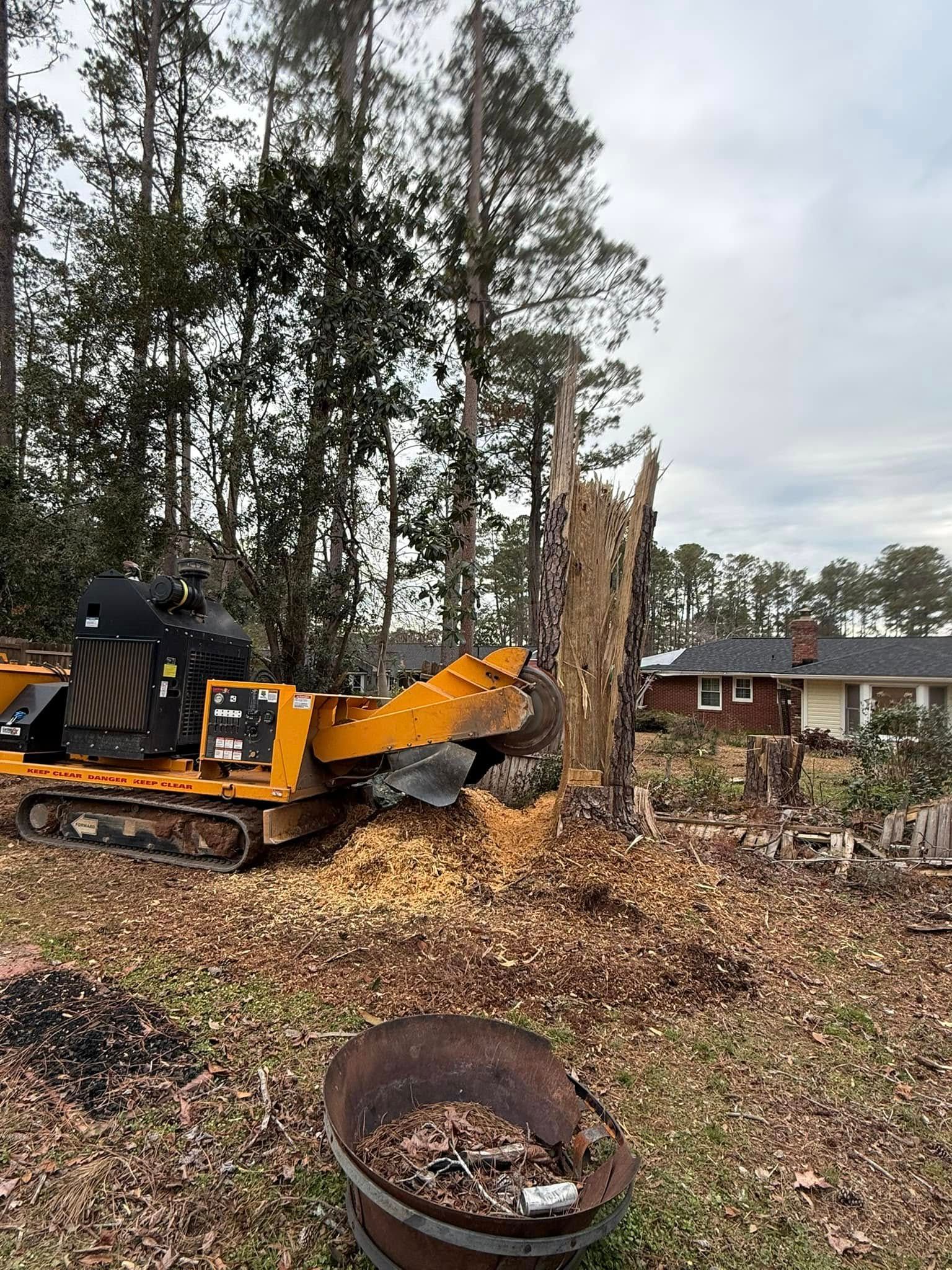  for Dozier Stump Grinding in Augusta, GA
