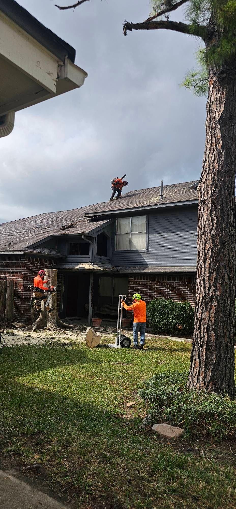  for Servin's Tree Care  in Houston, TX