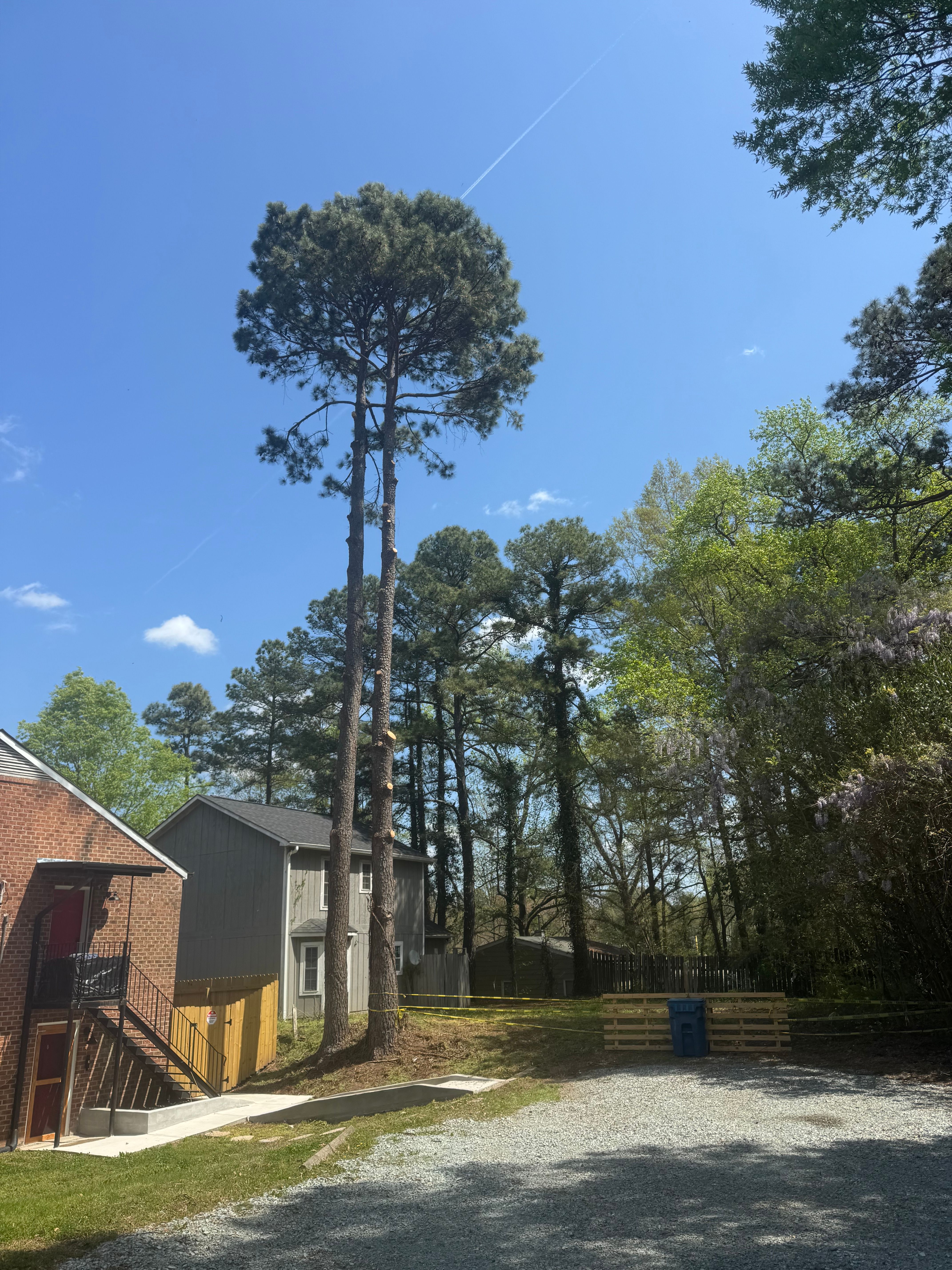  for Yardcall Solutions Tree & Landscaping Services in Durham, North Carolina