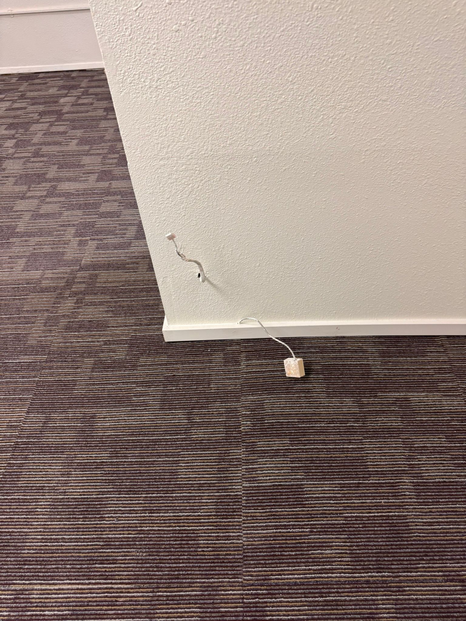  for Tony's Remodeling & Painting in Renton, WA