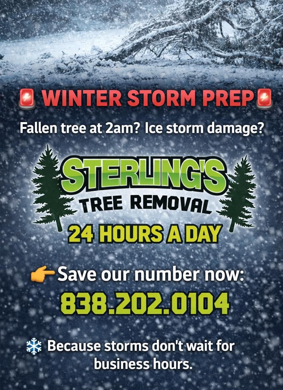  for Sterlings Tree Removal in Cobleskill, New York