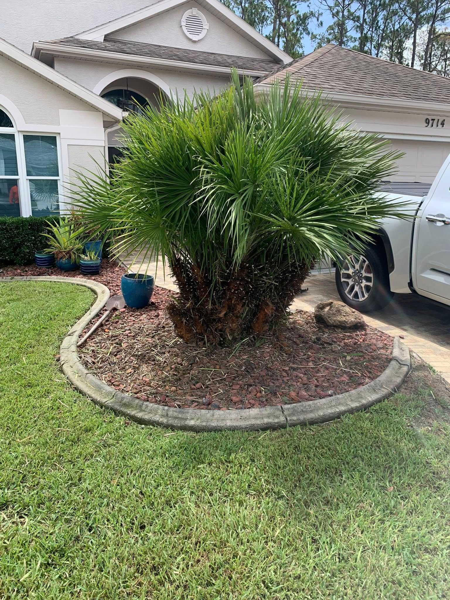  for Mitchell Lawn Service in Odessa, FL