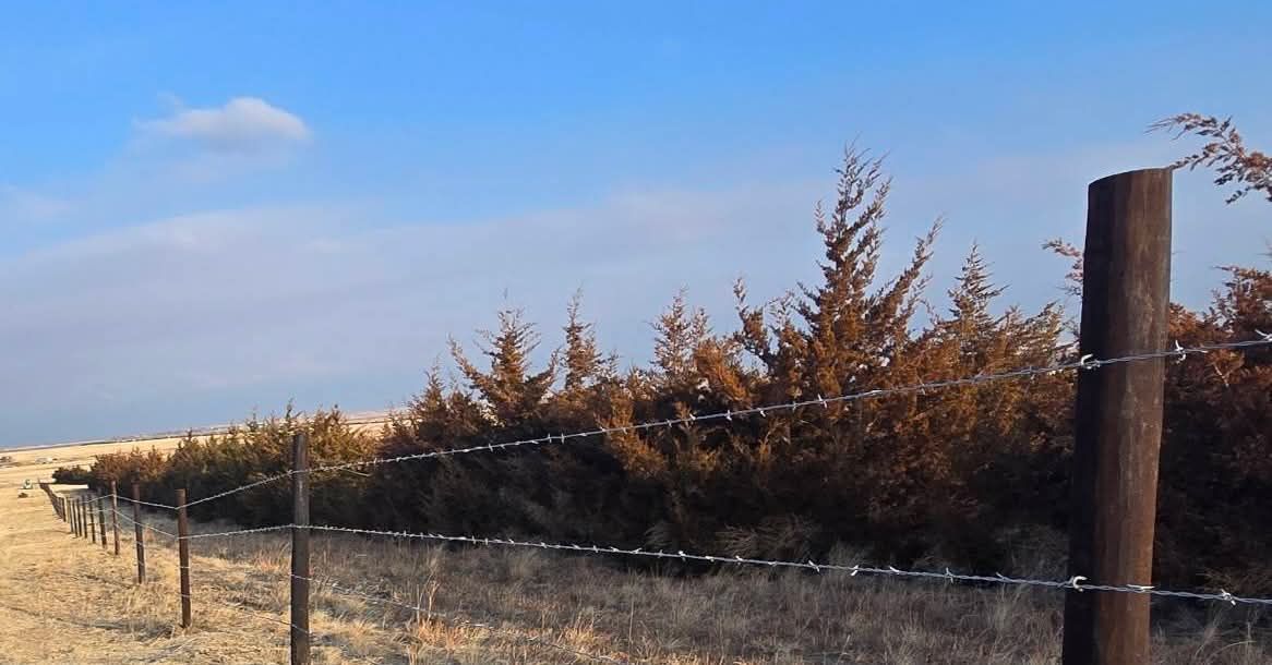 All Photos for M&N Fencing in Northeast Colorado, CO