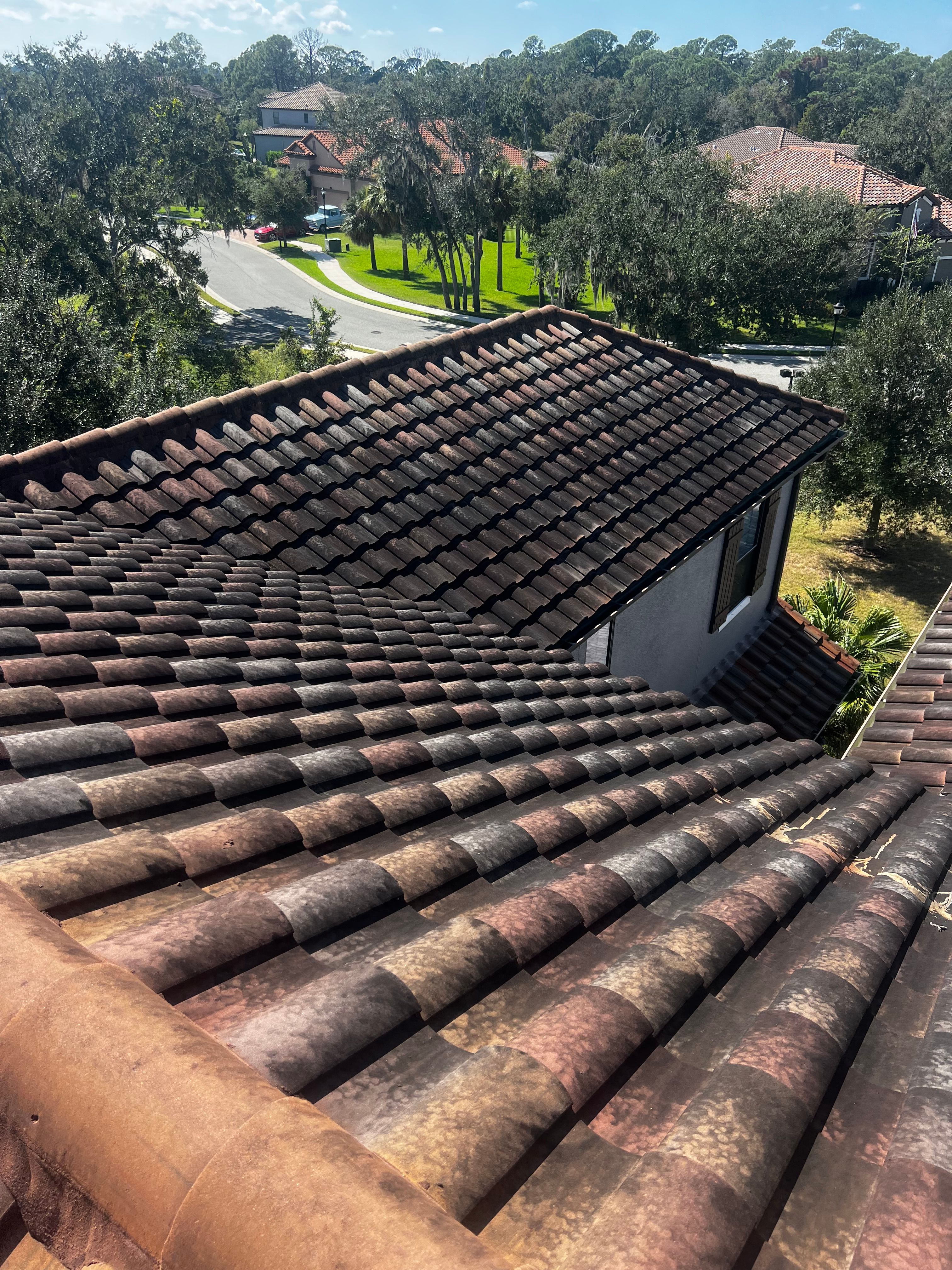  for Barr None Wash Pro in Tampa, FL