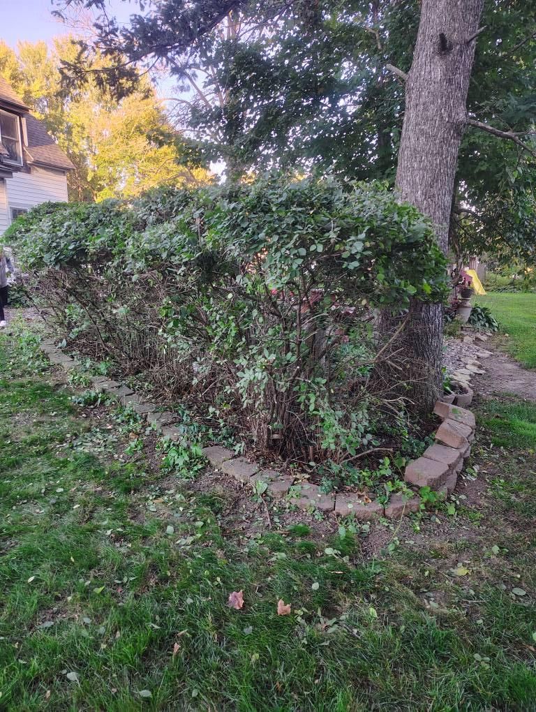 All Photos for Big River lawn Care services and snow LLC in Wausau, WI