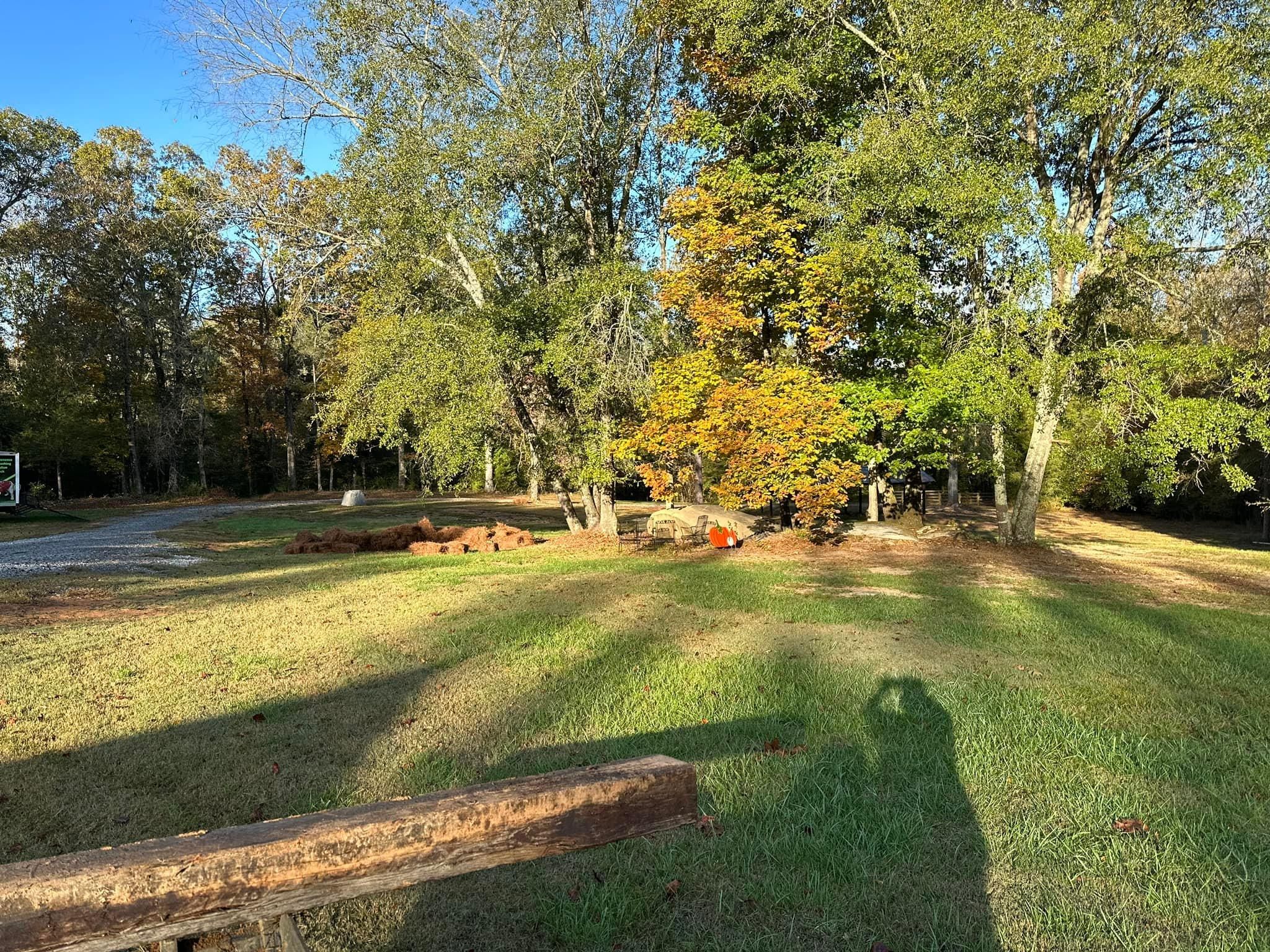 All Photos for Sexton Lawn Care in Jefferson, GA