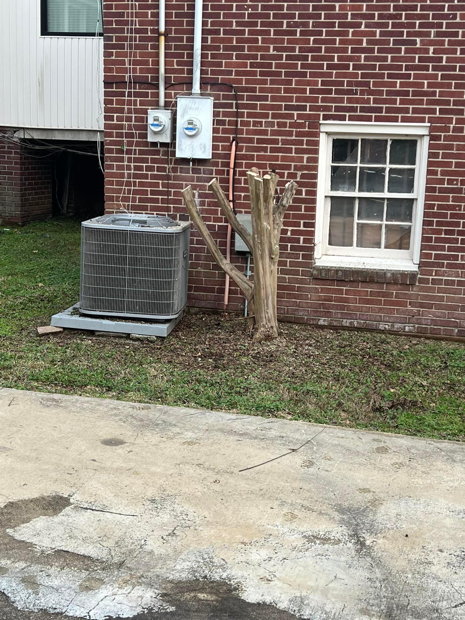  for Shang's Landscaping Service in Columbia, South Carolina