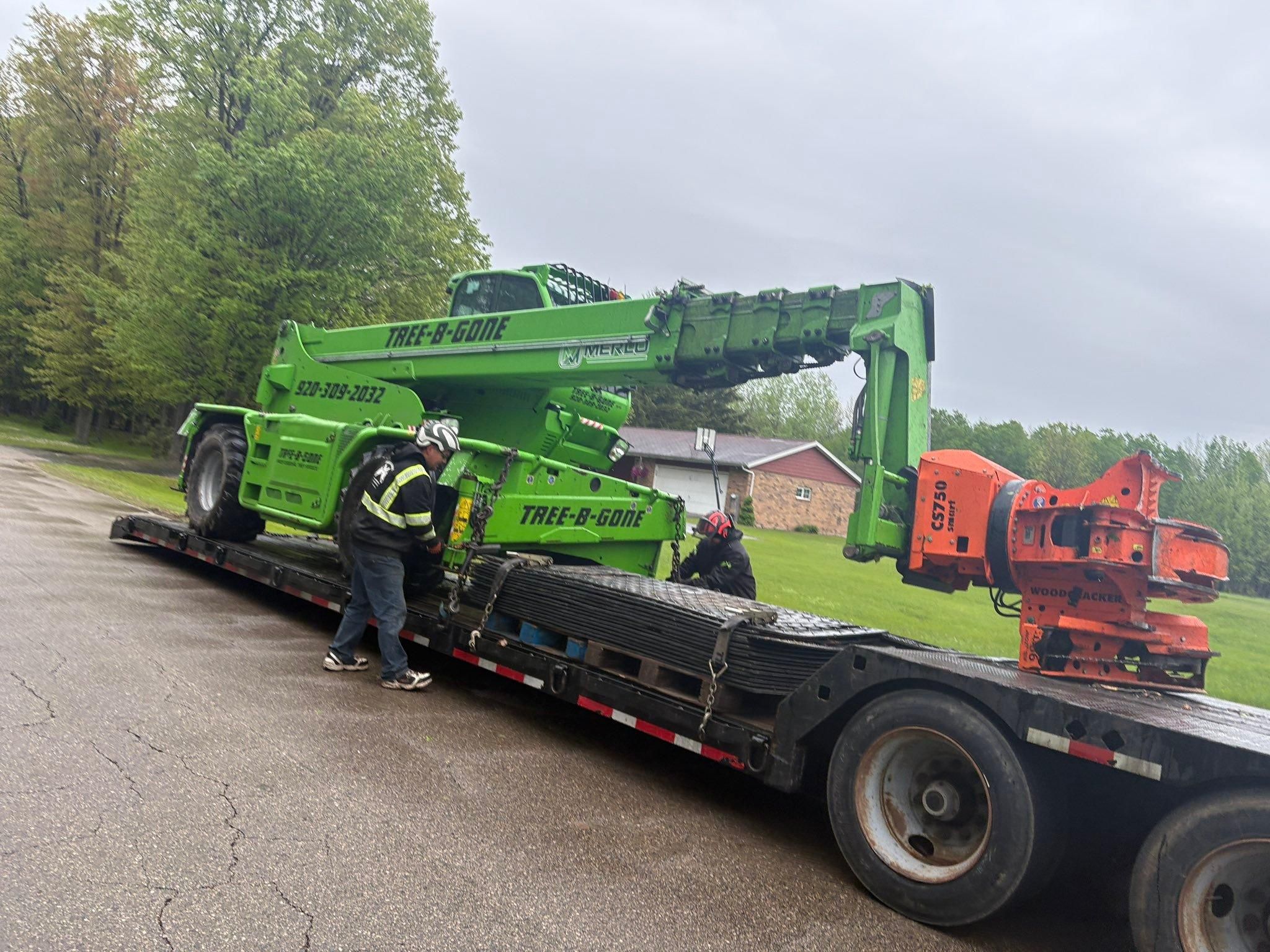  for Tree-B-Gone in Appleton, WI