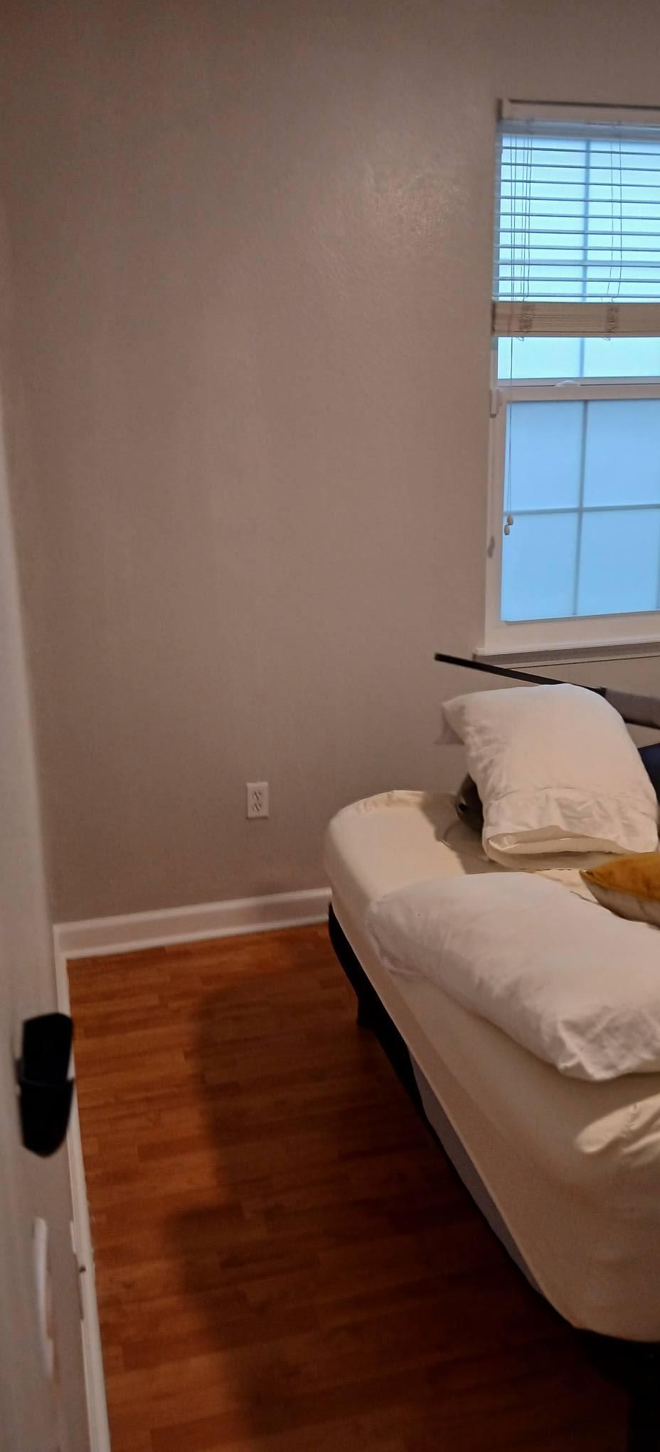  for Bradley Bradshaw Painting in Christmas, FL