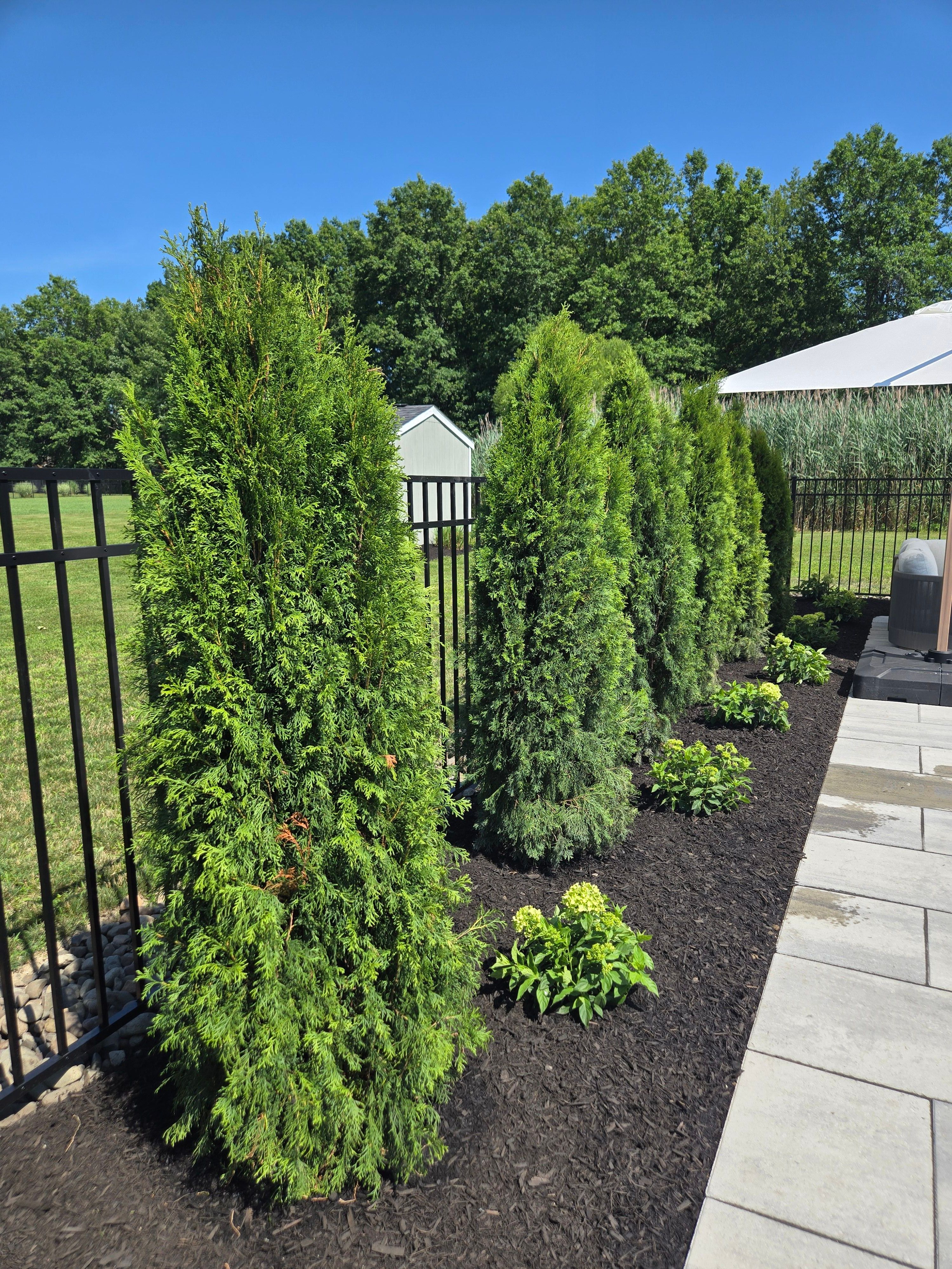  for Tony Monaco Landscaping Inc. in Orange County, NY