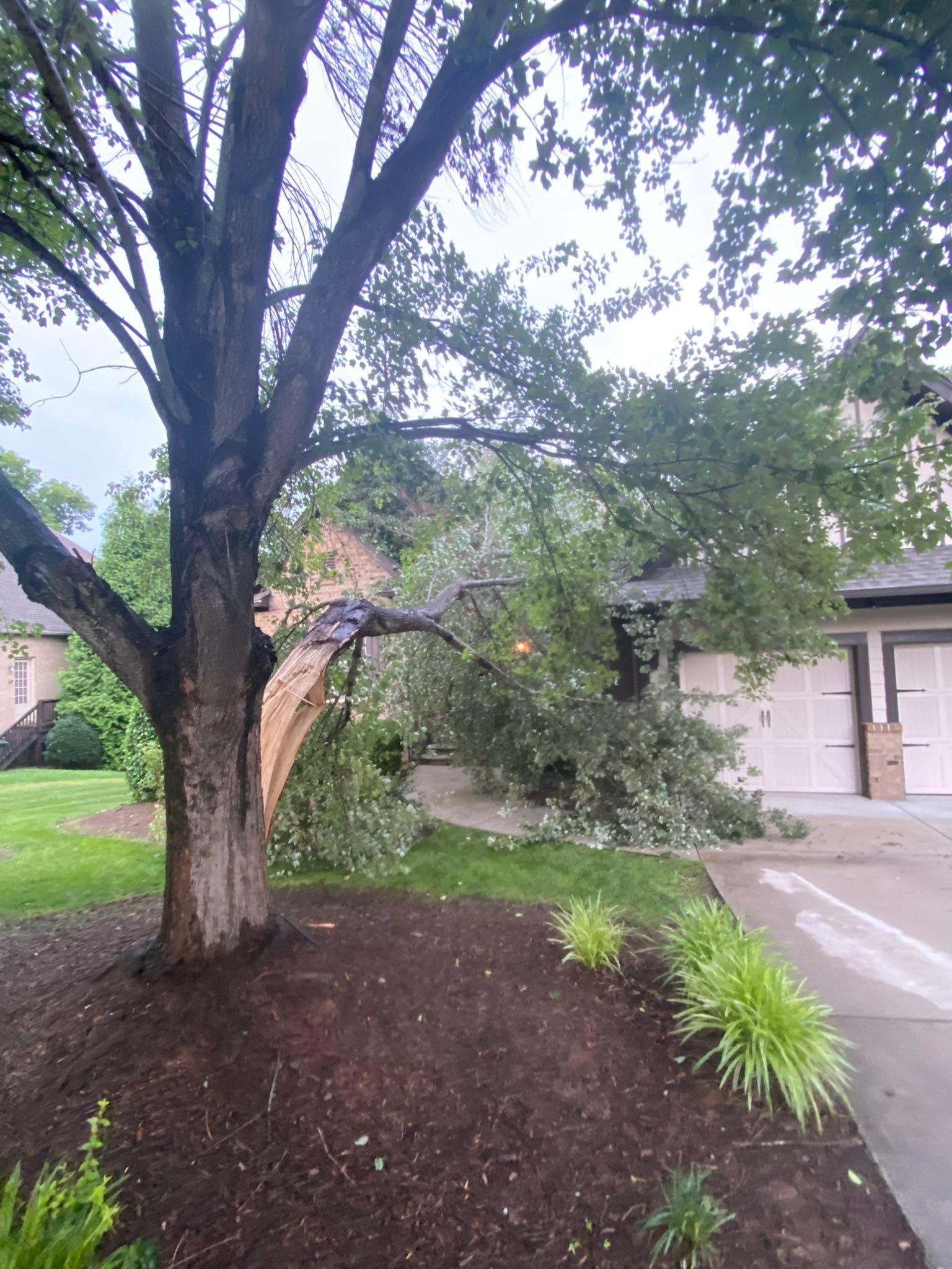  for Diversified Tree Company in Trinity, NC