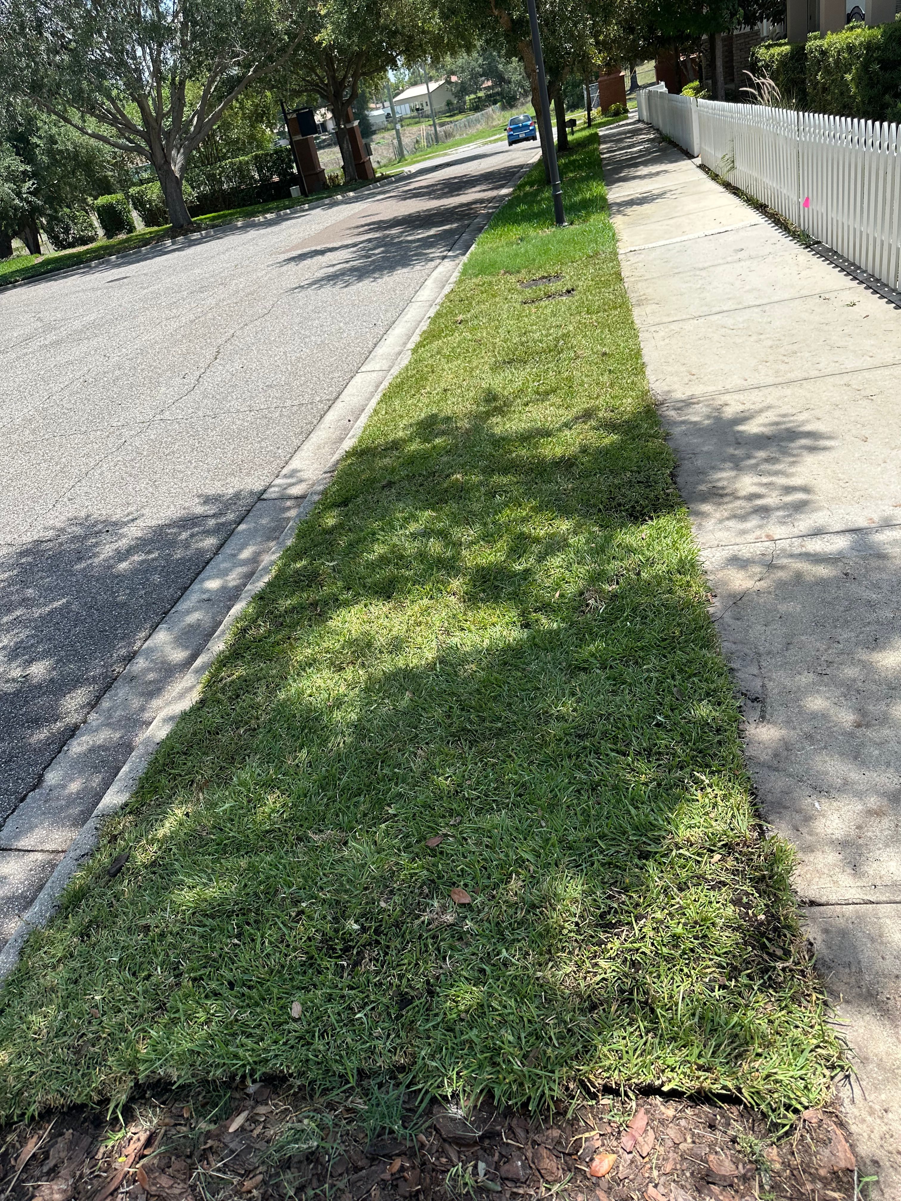  for Gulf Bay Sod in Clearwater, FL