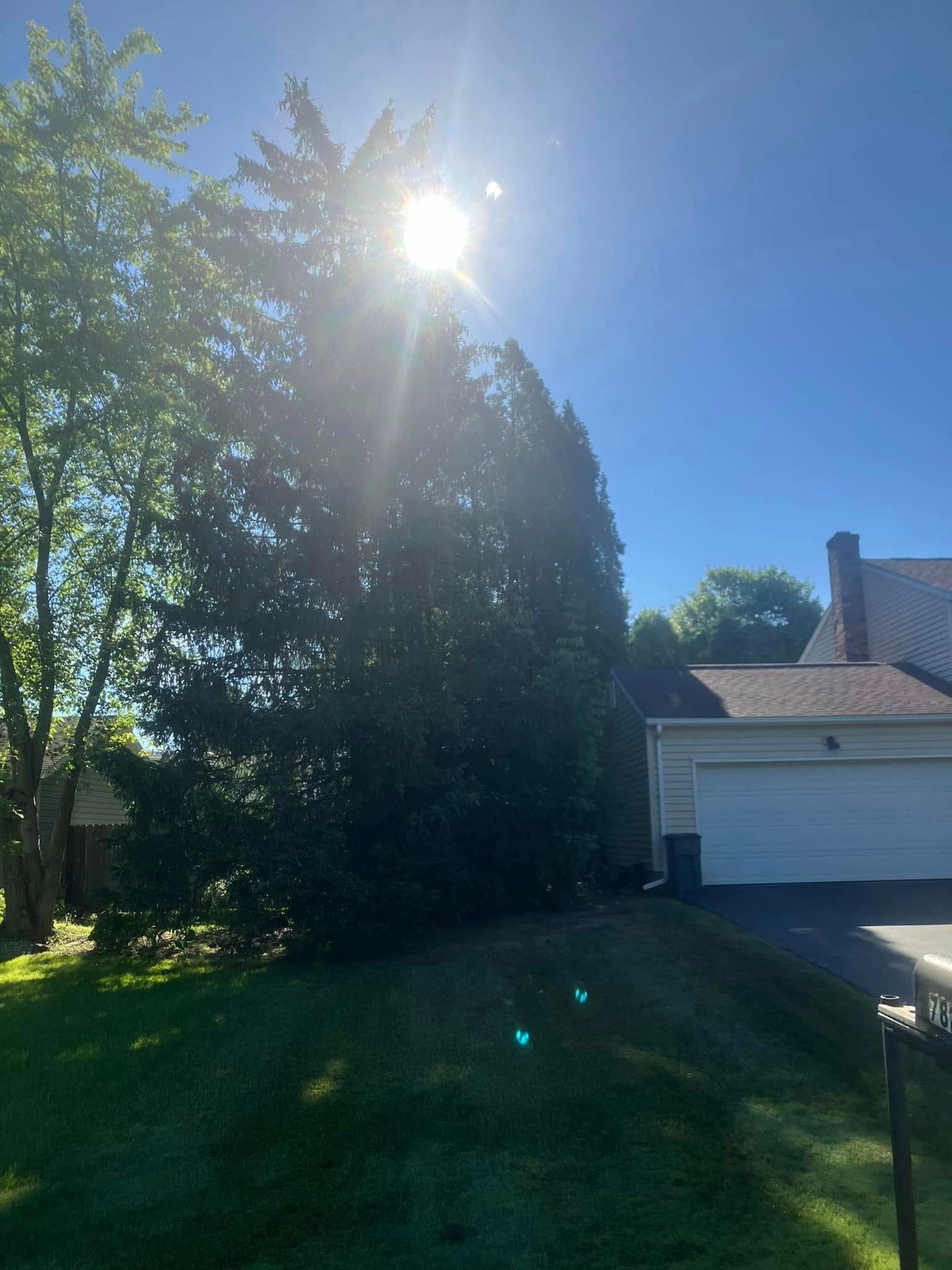  for Lovenguth Logging and Tree Service in West Monroe, NY