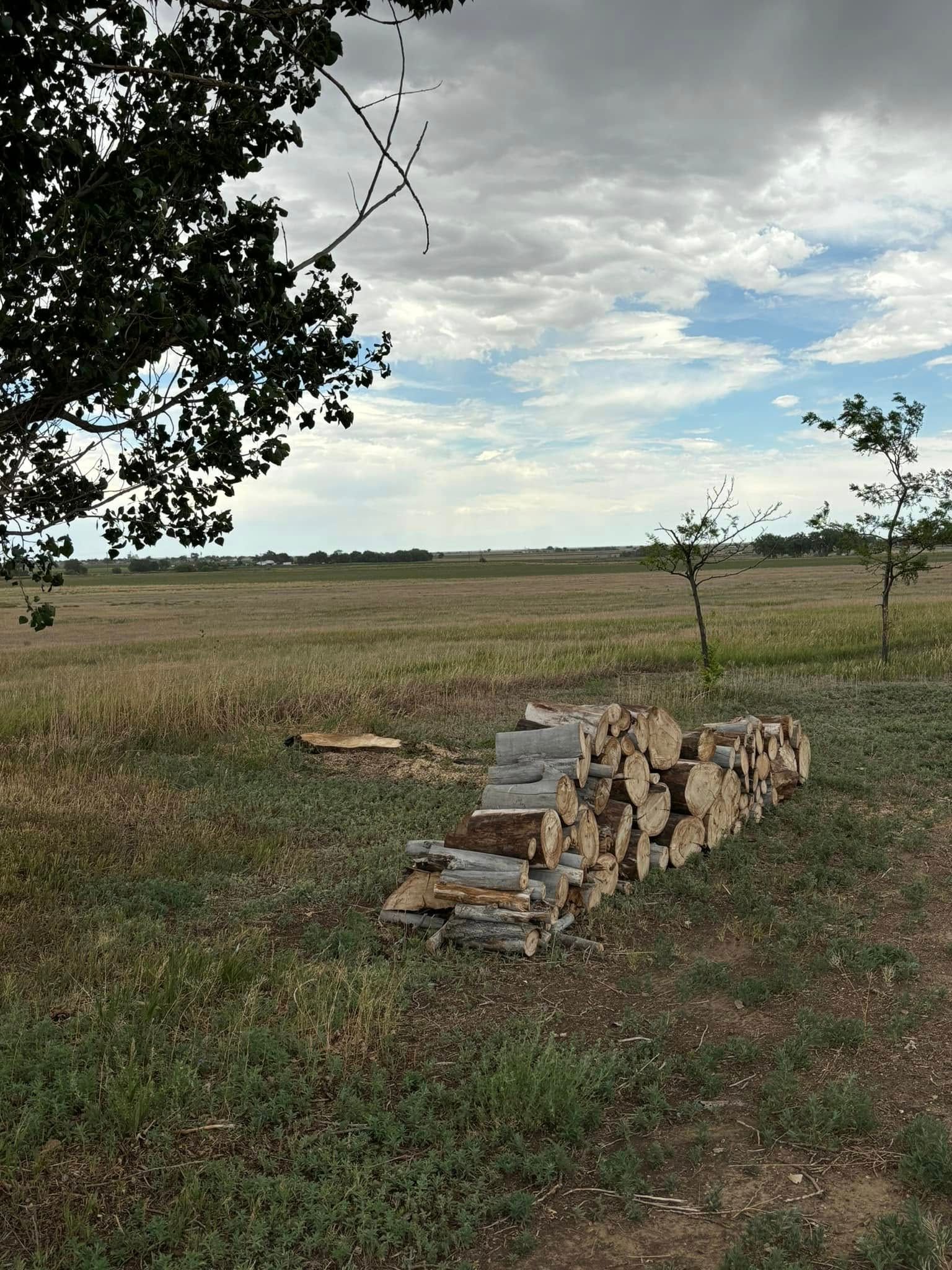 Tree Removal for Graham’s Tree Services in Pierce, CO