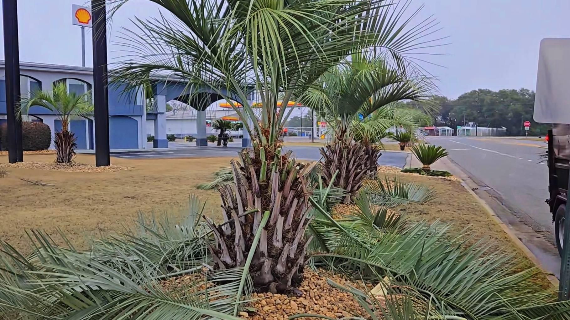  for Zepeda's Mowing in Fort Valley, GA