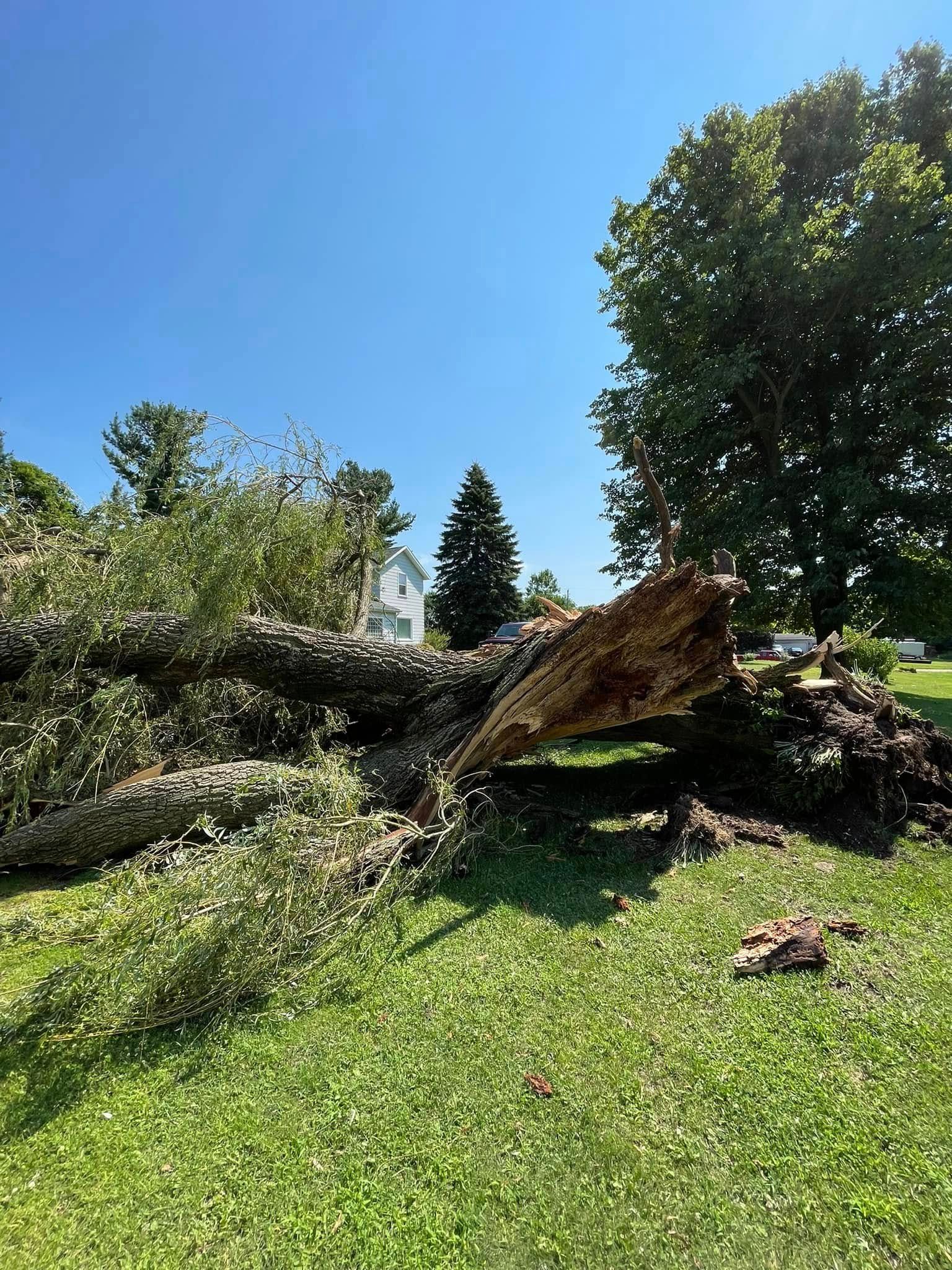  for God's Country Timber Management in Hillsdale, MI