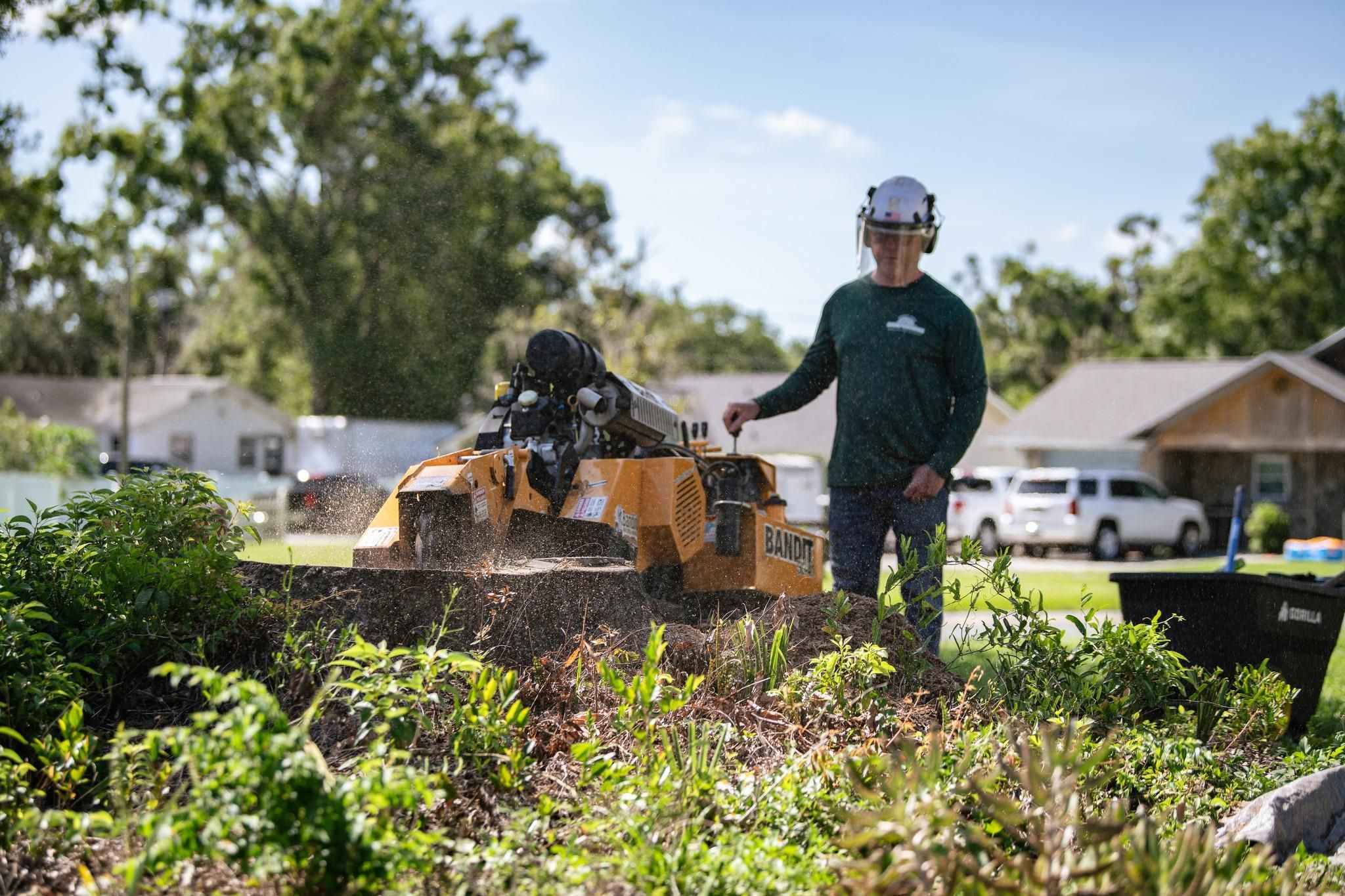  for Greene Acres Stump Grinding in Plant City, FL