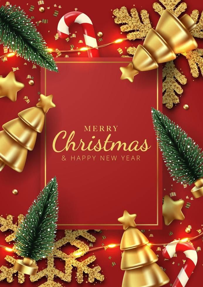  for T's Trees in Albany, NY