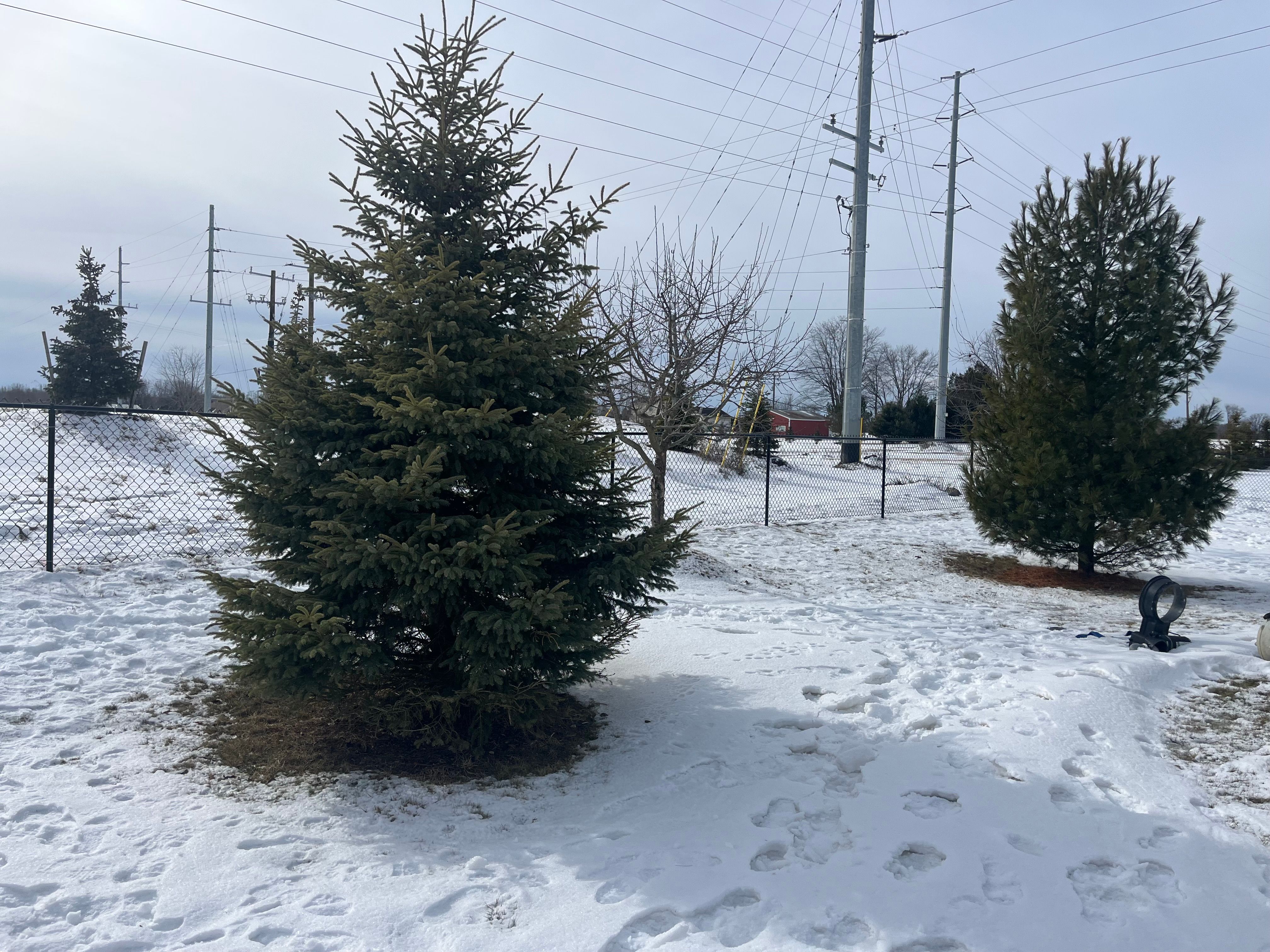  for TMF Services in Lapeer County, MI