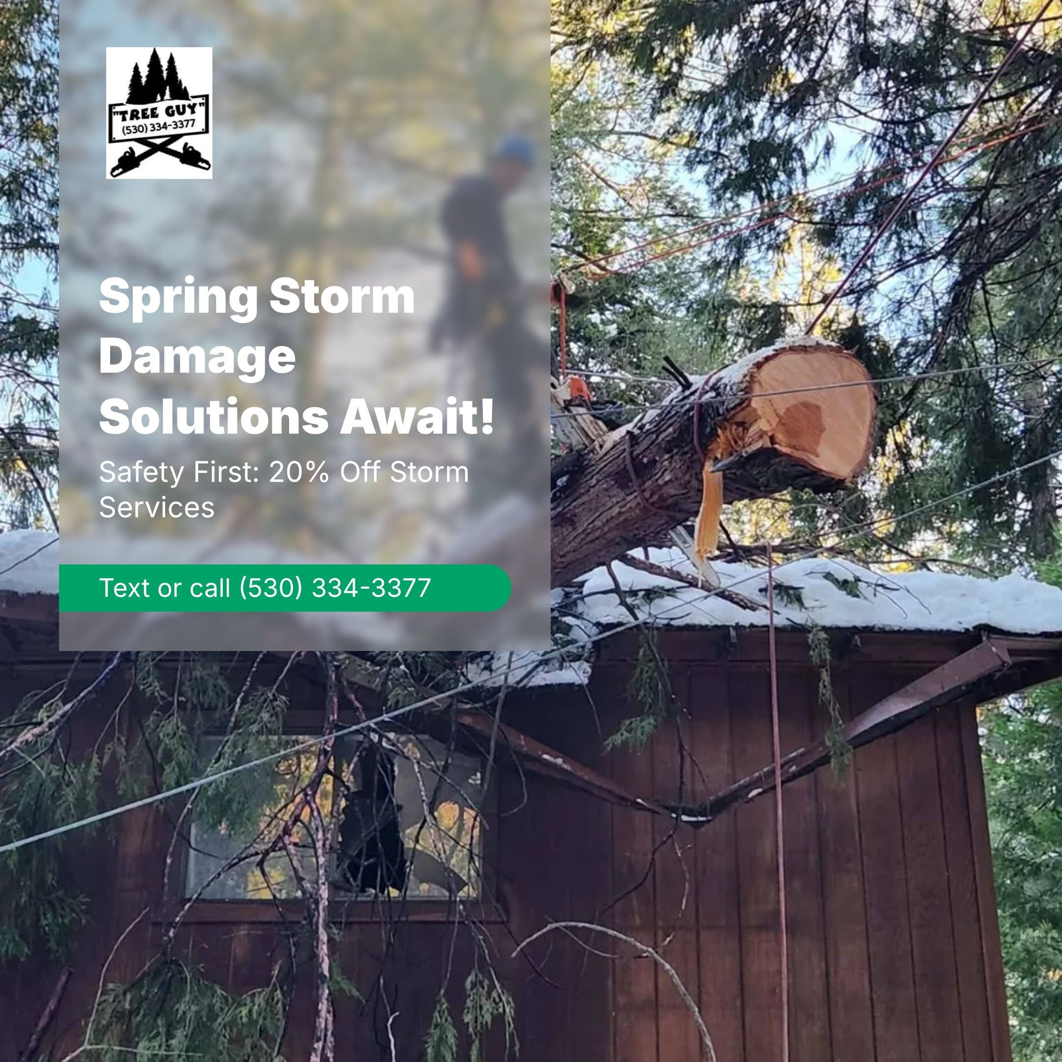  for George Staddan's Professional Tree Care in Placerville, CA