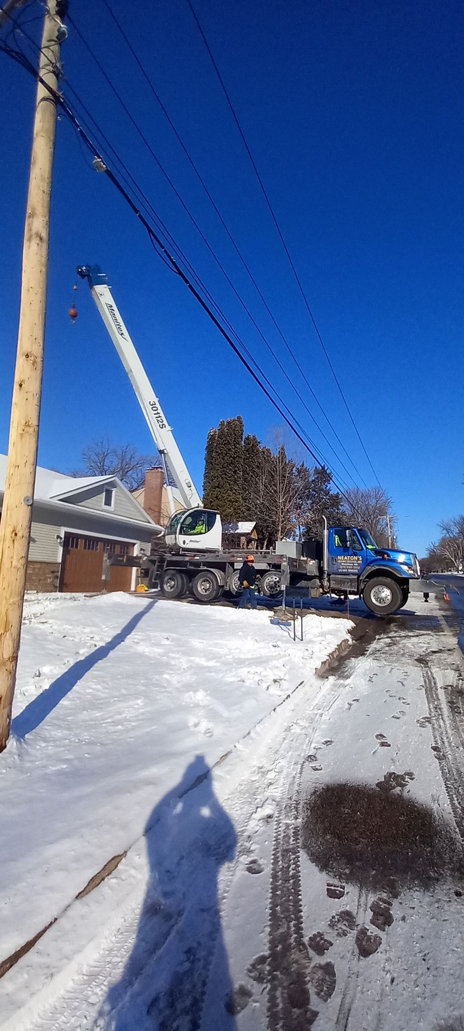 Tree Removal for Buffalo Family Tree Care in Buffalo, MN