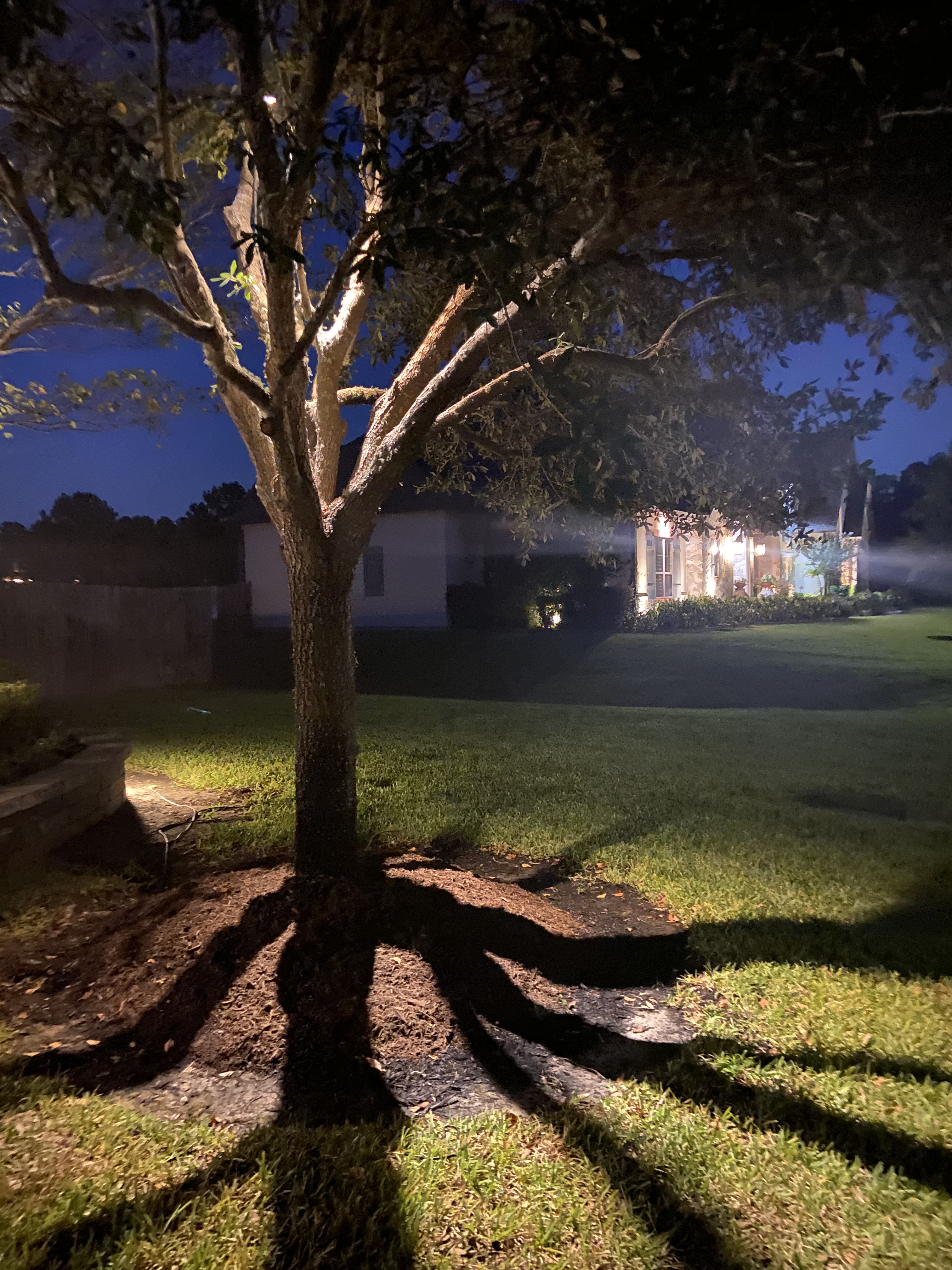 Lighting for Atlas Land Design in Creekside Park, TX
