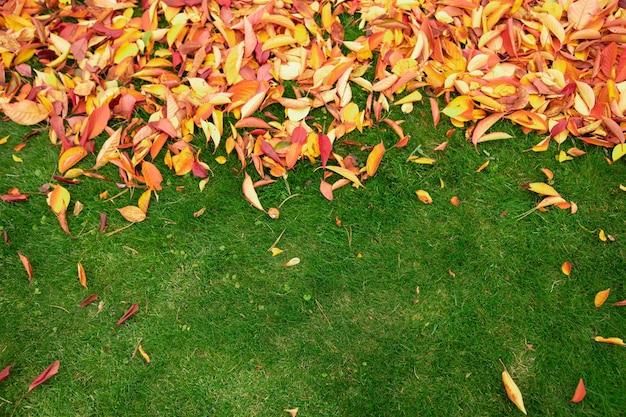  for Valadez Landscaping LLC in Fort Worth, TX