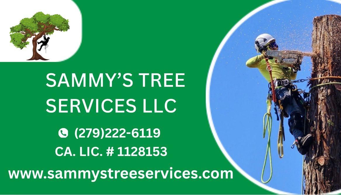 All Photos for Sammy's Tree Services in Sacramento, CA