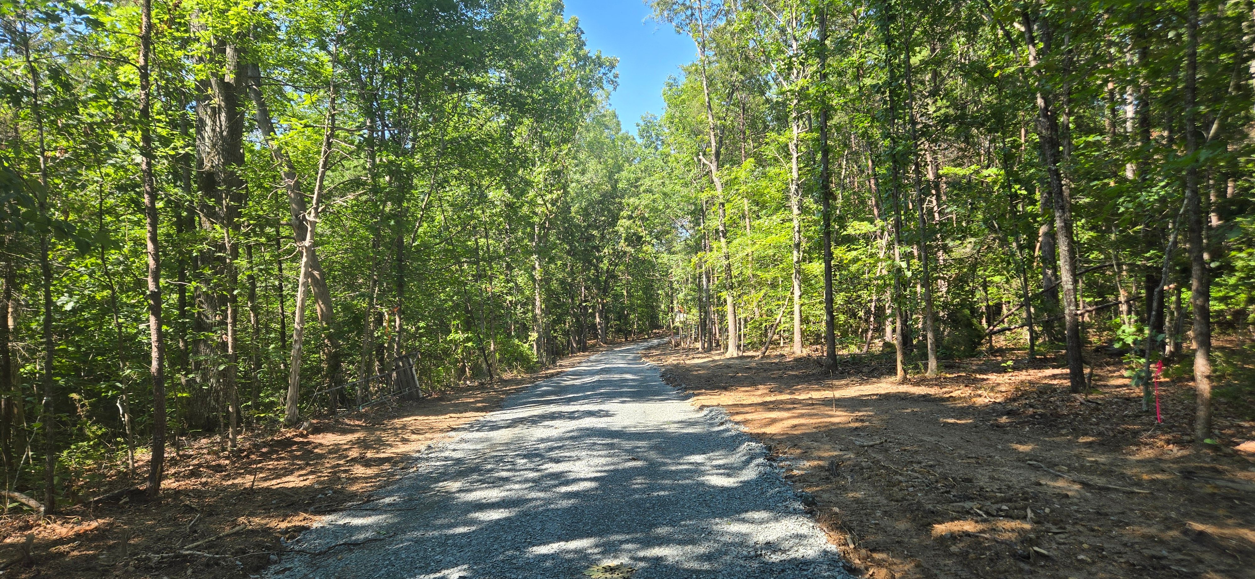Clearing for C.A. Sherry Land Improvement, LLC. in Louisa, VA